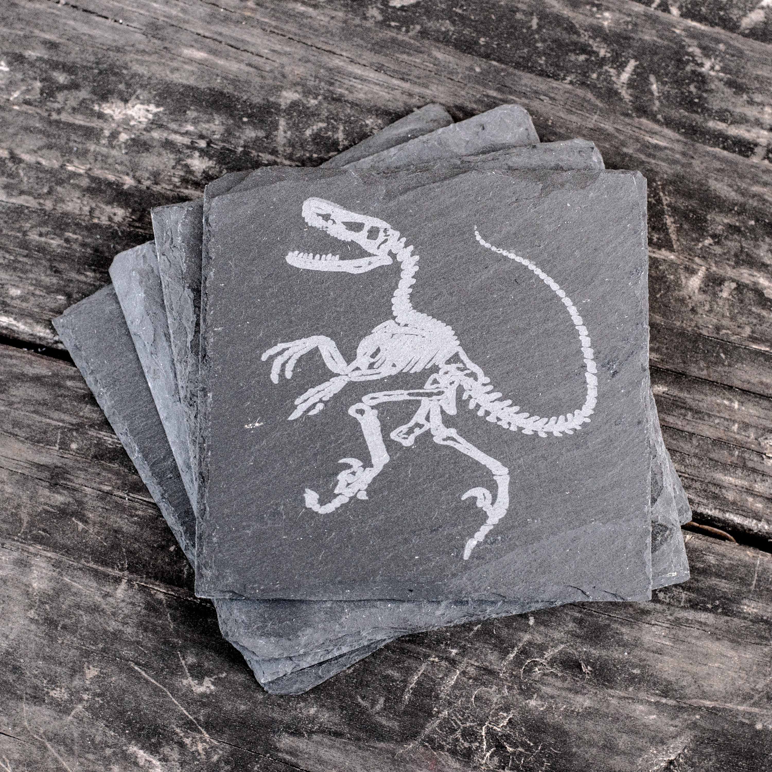 Coaster - Slate - Dinosaur Fossil - SET OF 2