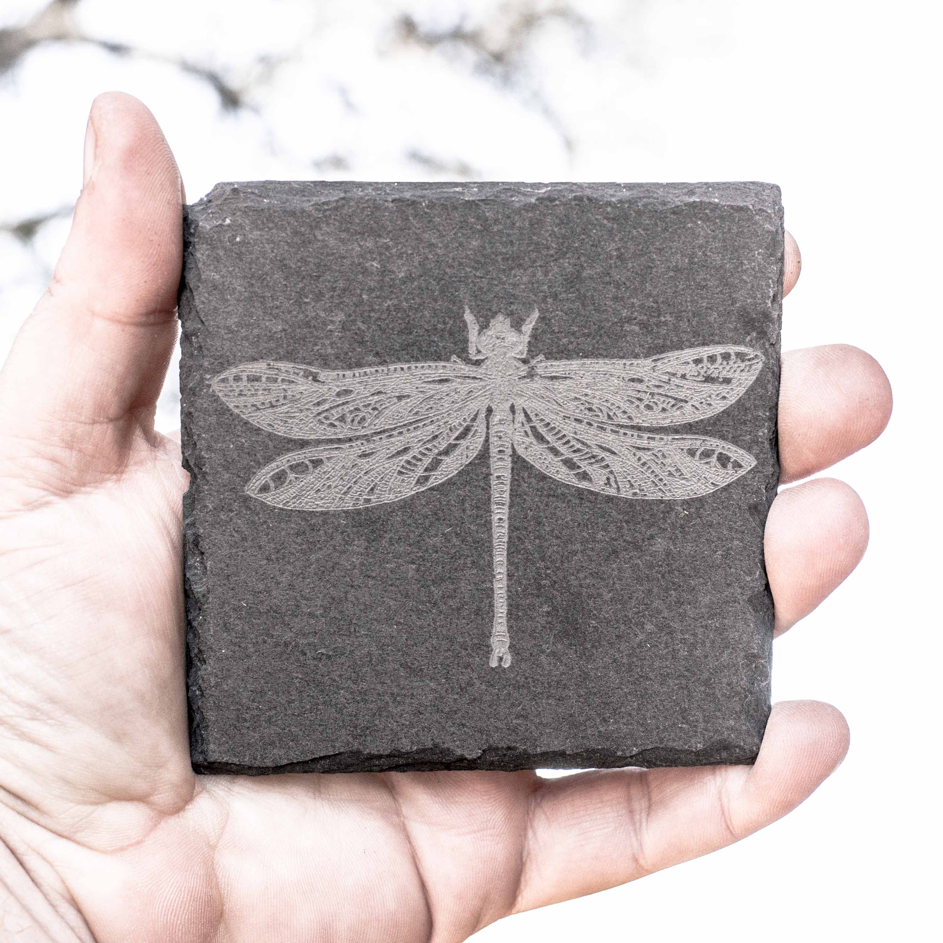 Coaster - Slate - Dragon Fly - SET OF 2