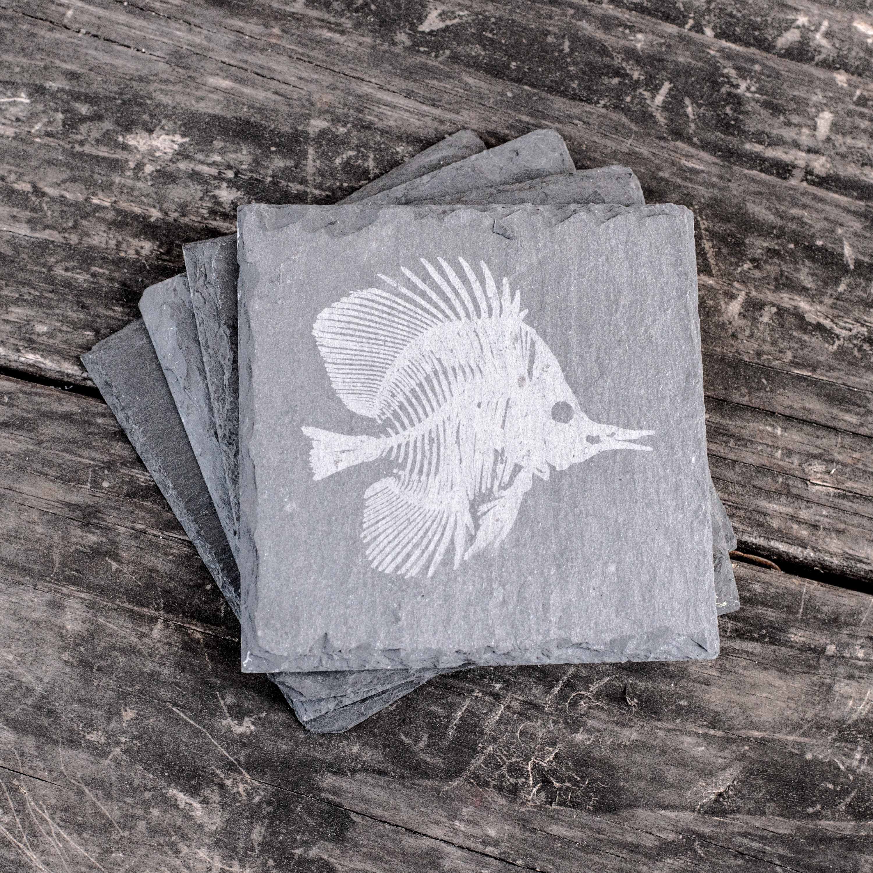 Coaster - Slate - Fish Fossil - SET OF 2