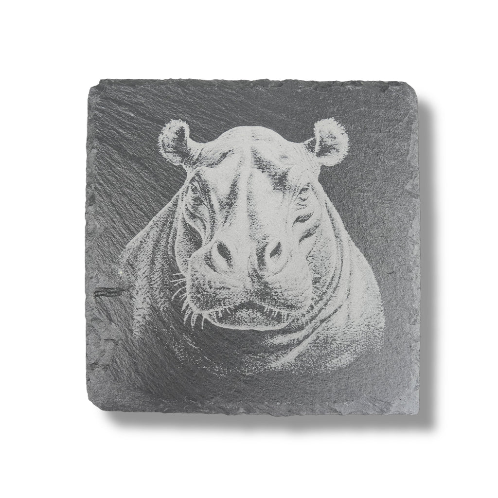 Coaster - Slate - Safari - SET of 4
