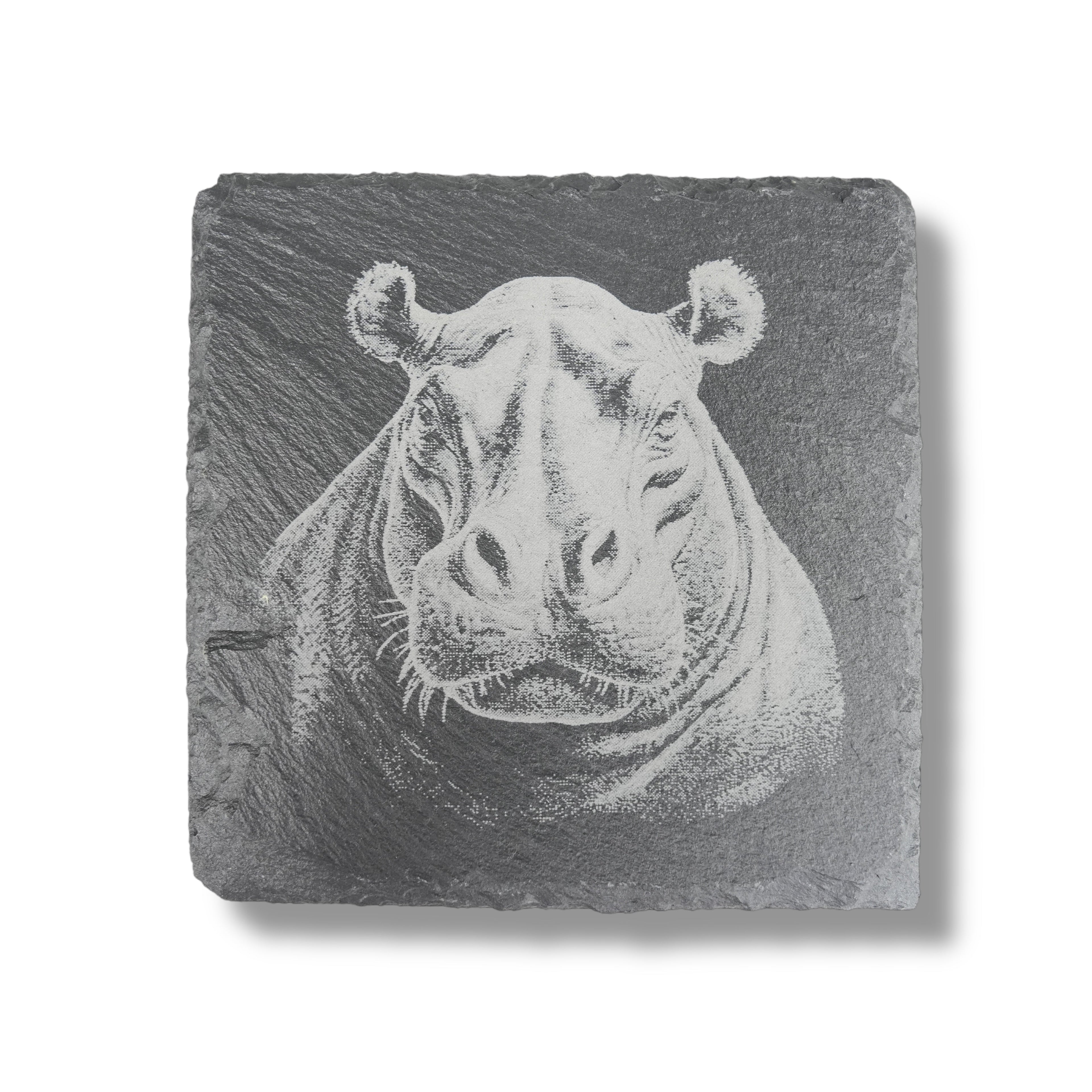 Coaster - Slate - Safari - SET of 4