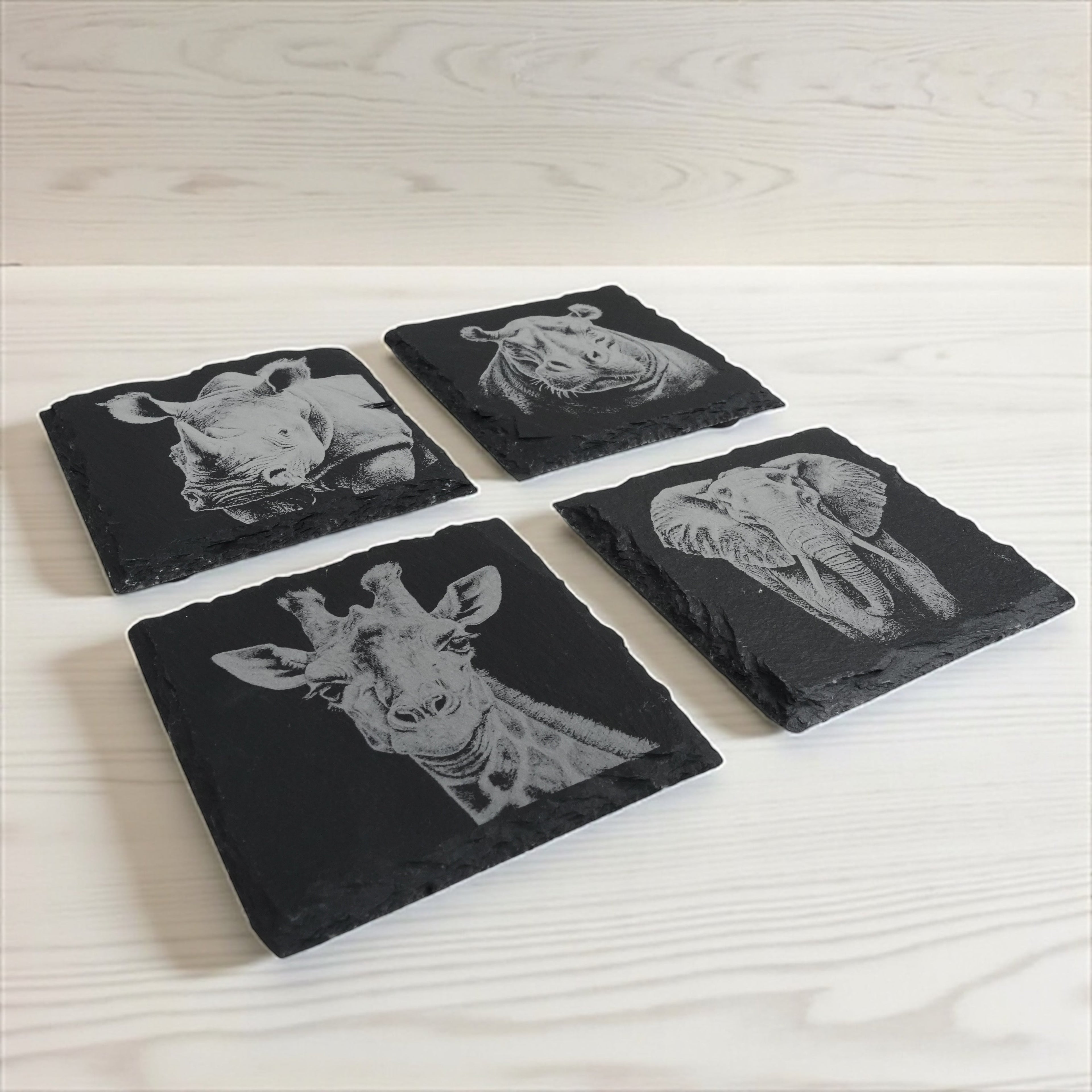 Coaster - Slate - Safari - SET of 4
