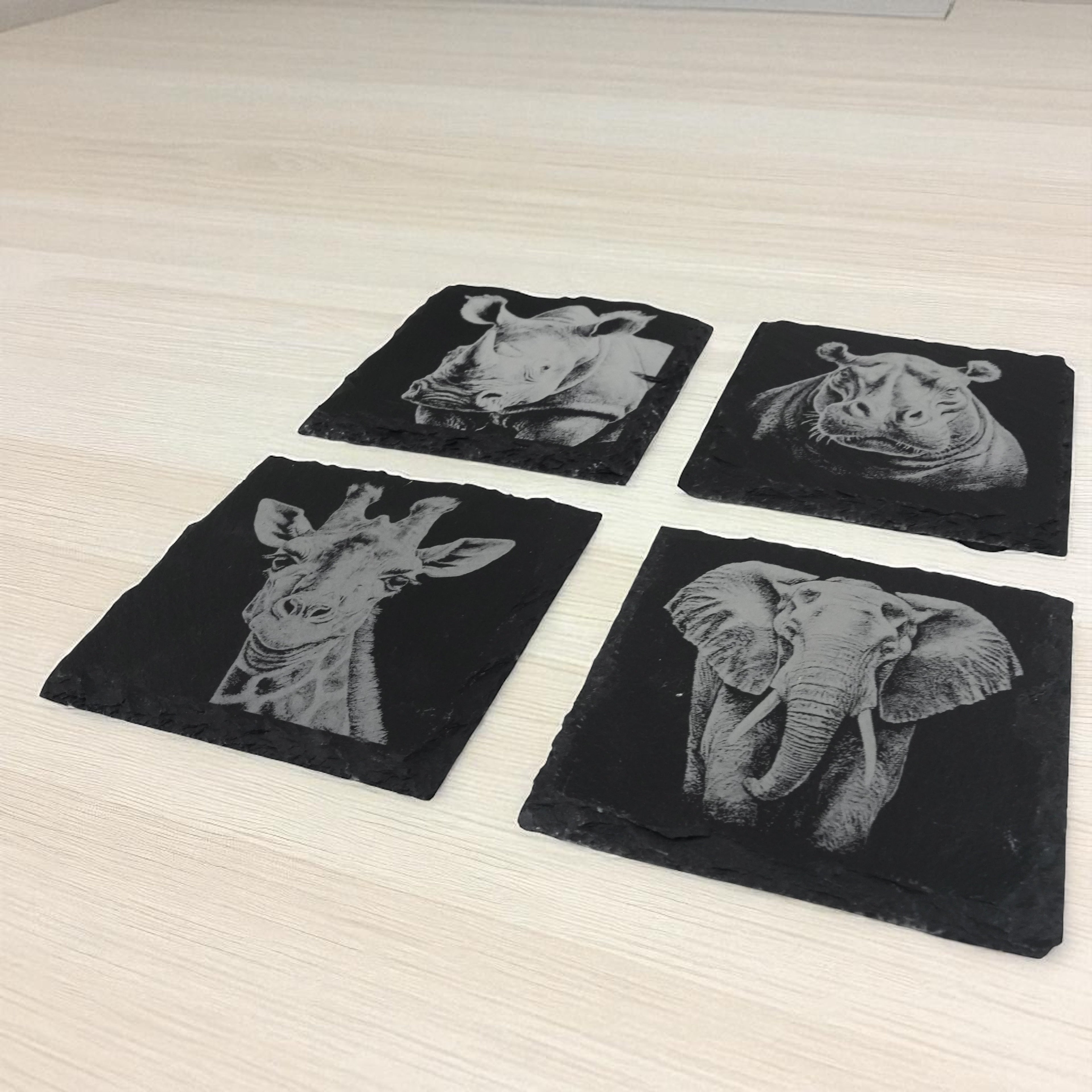 Coaster - Slate - Safari - SET of 4