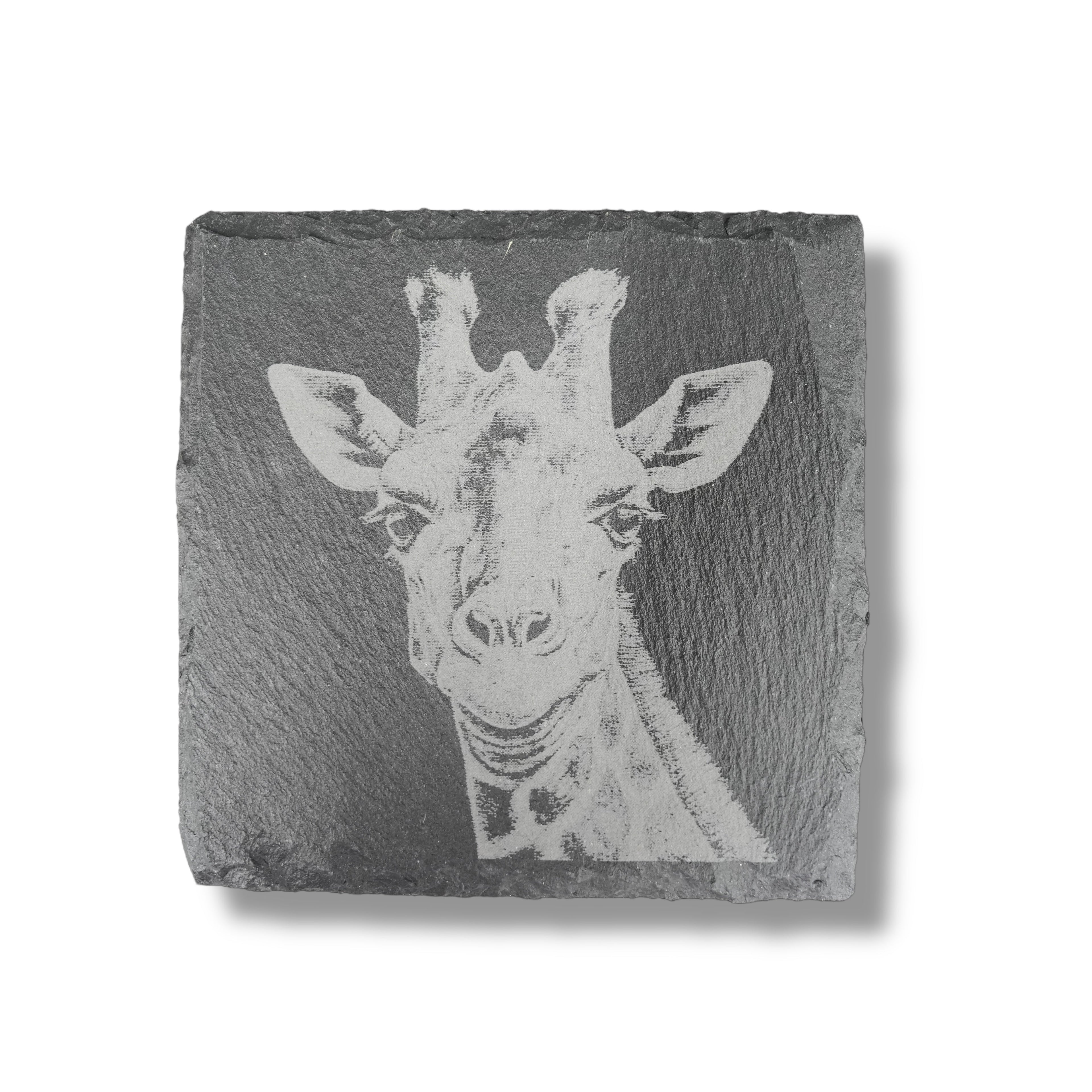 Coaster - Slate - Safari - SET of 4