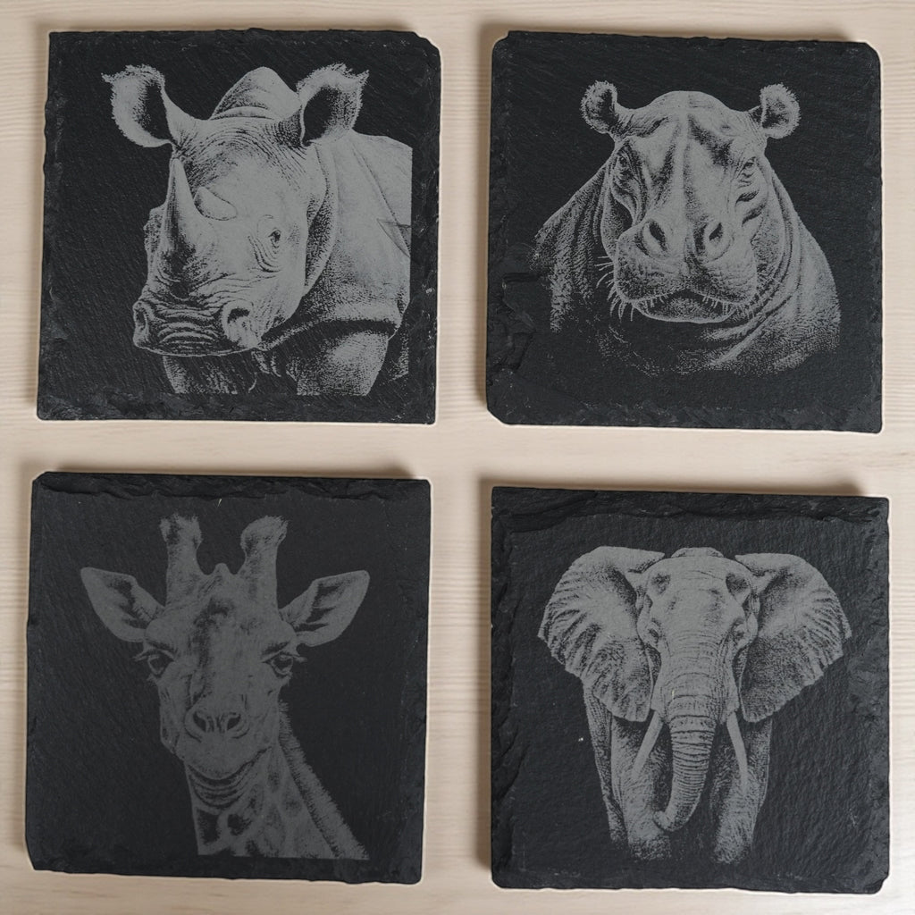Coaster - Slate - Safari - SET of 4