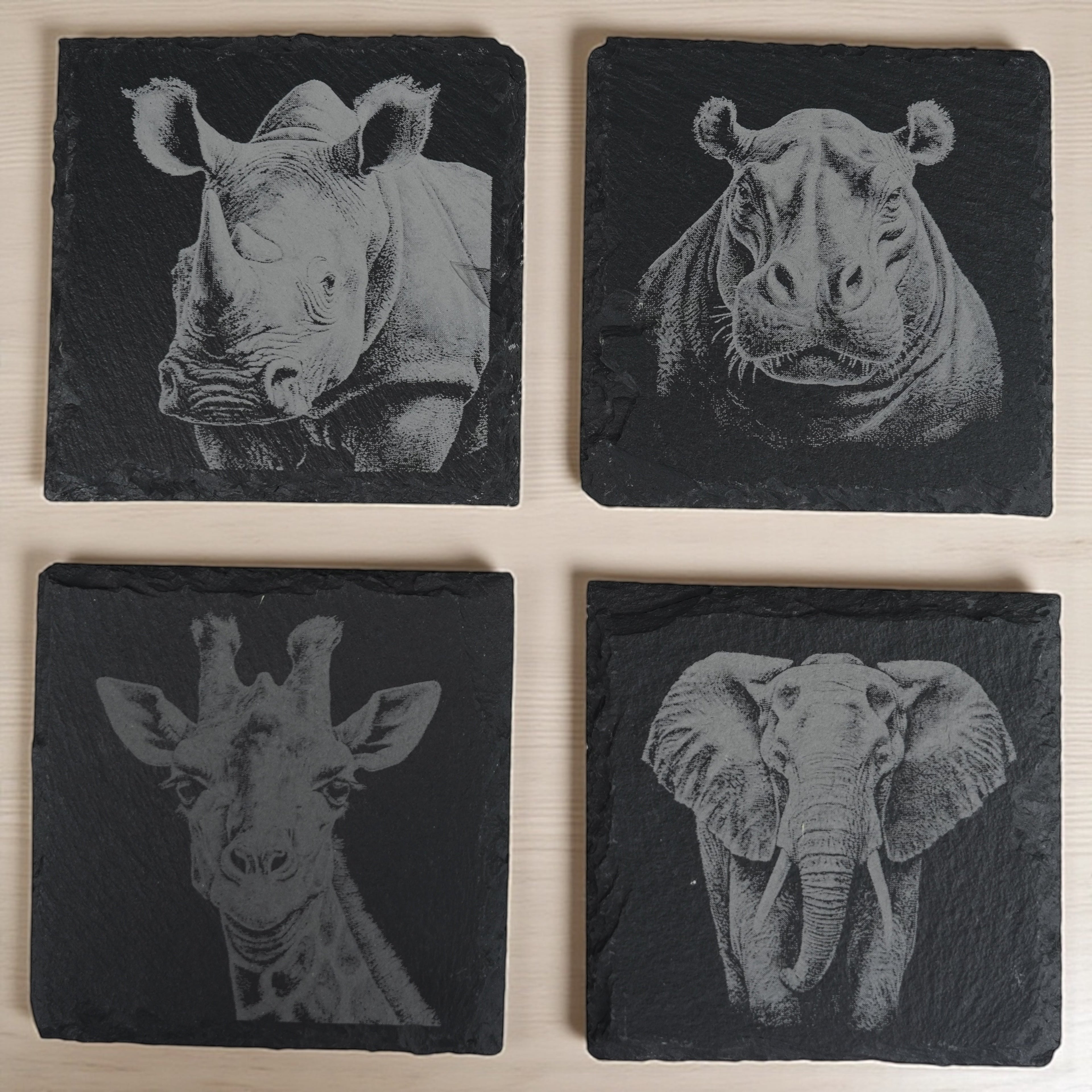Coaster - Slate - Safari - SET of 4