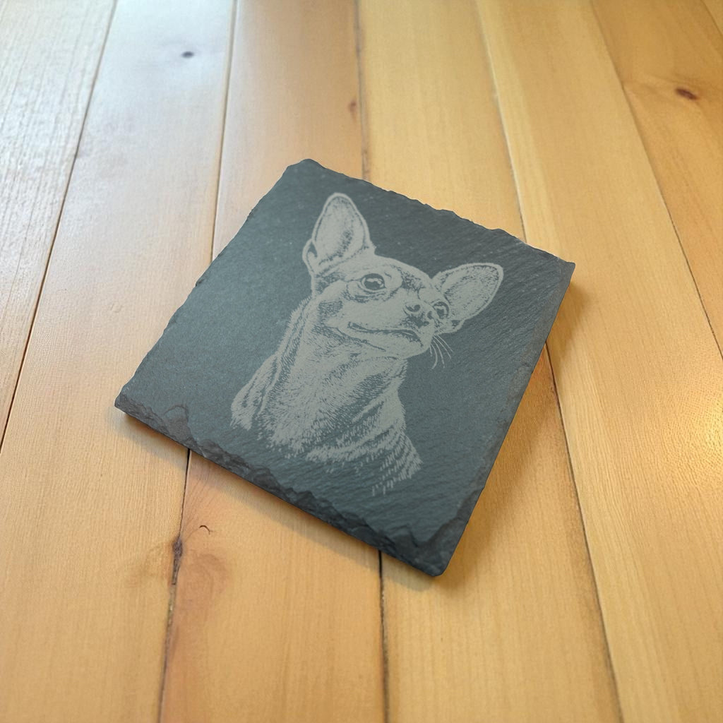Coaster - Slate - Chihuahua - SET OF 2 - Dog