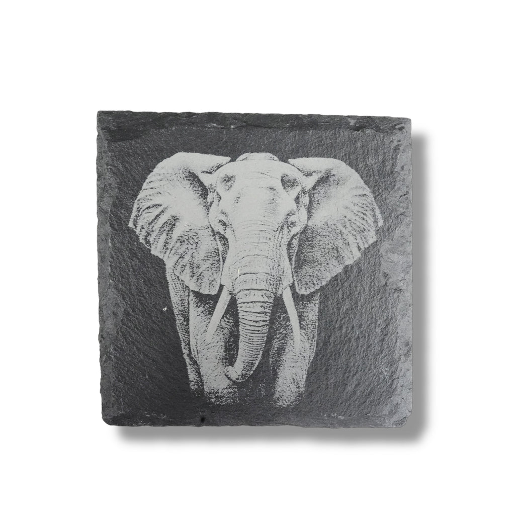 Coaster - Slate - Safari - SET of 4