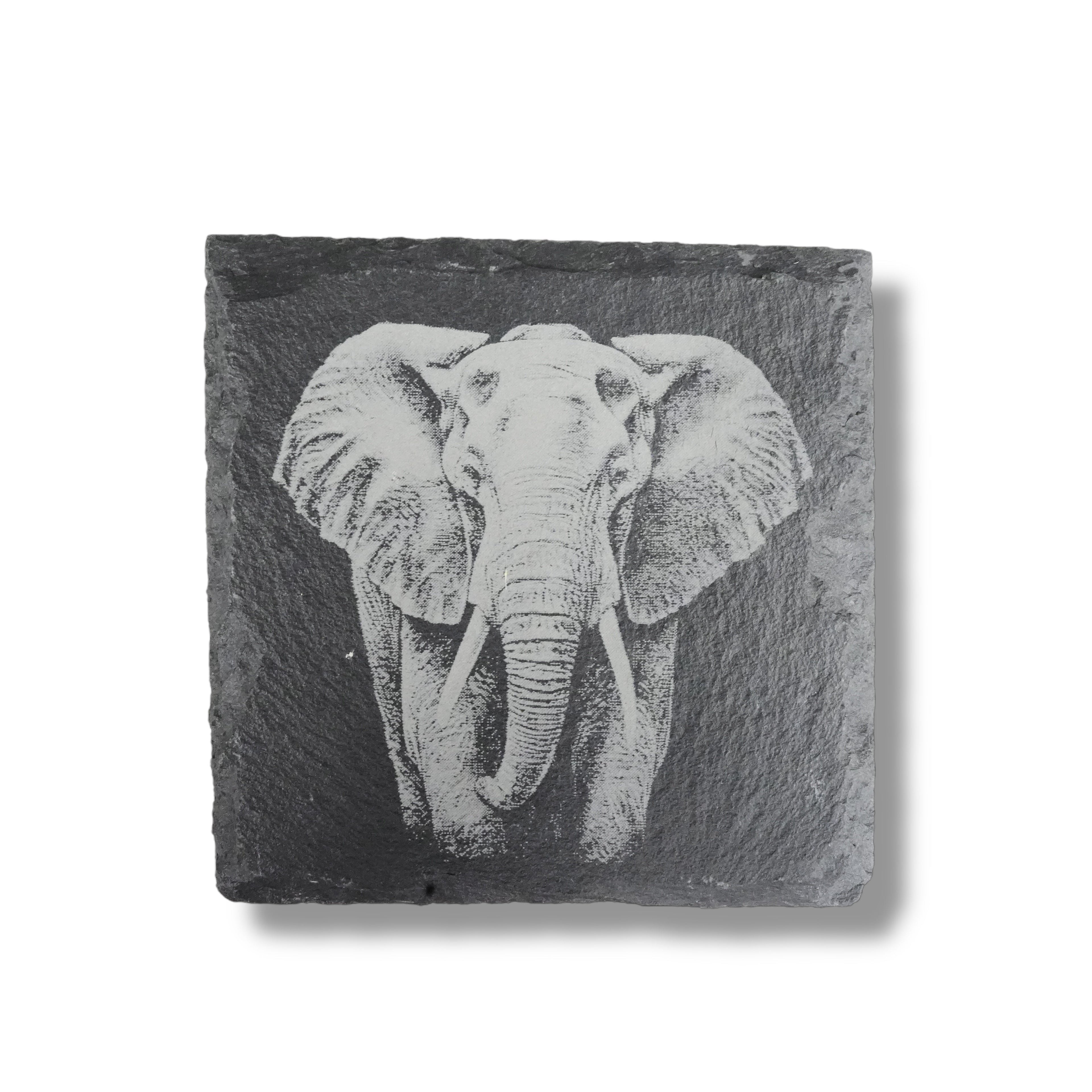 Coaster - Slate - Safari - SET of 4