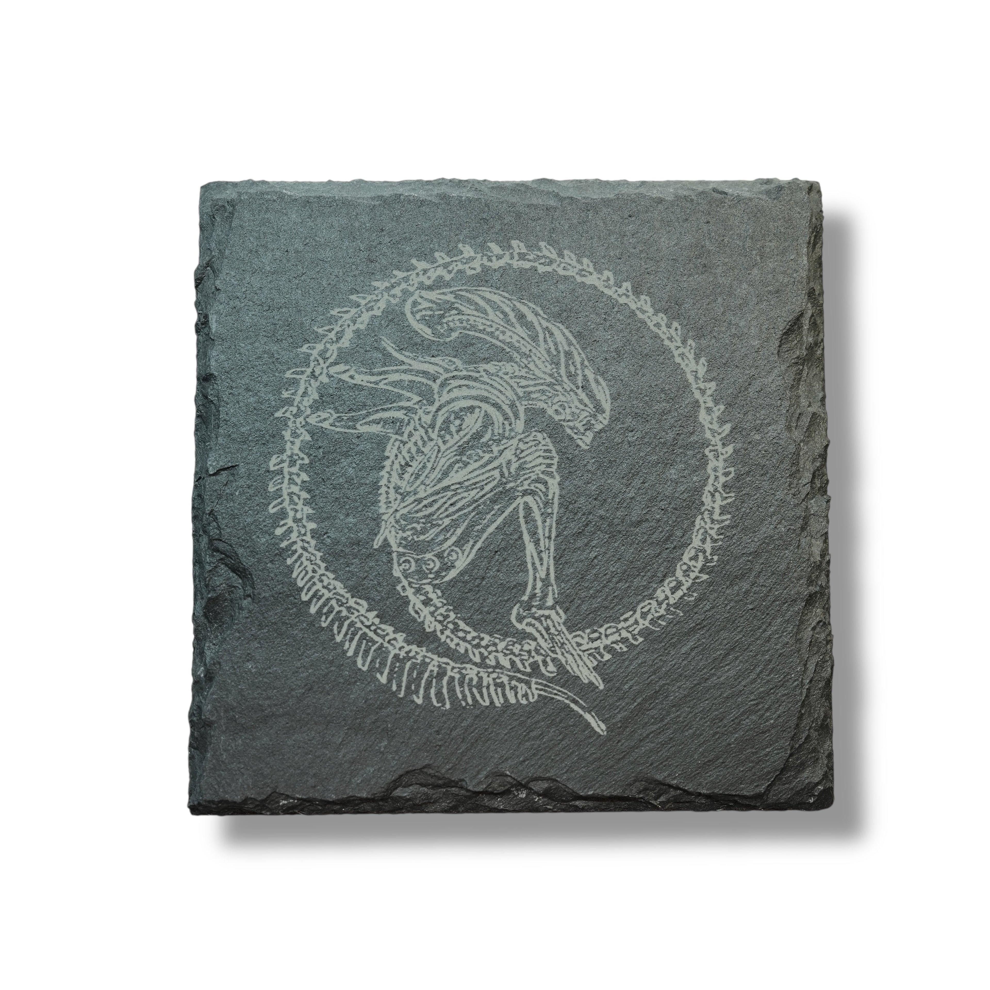 Coaster - Slate - Alien Fossil - SET OF 2