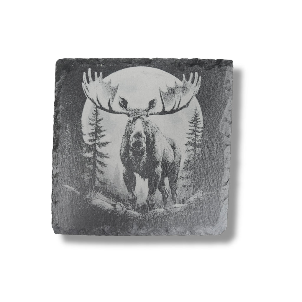 Coaster - Slate - Woods at Night - SET of 4