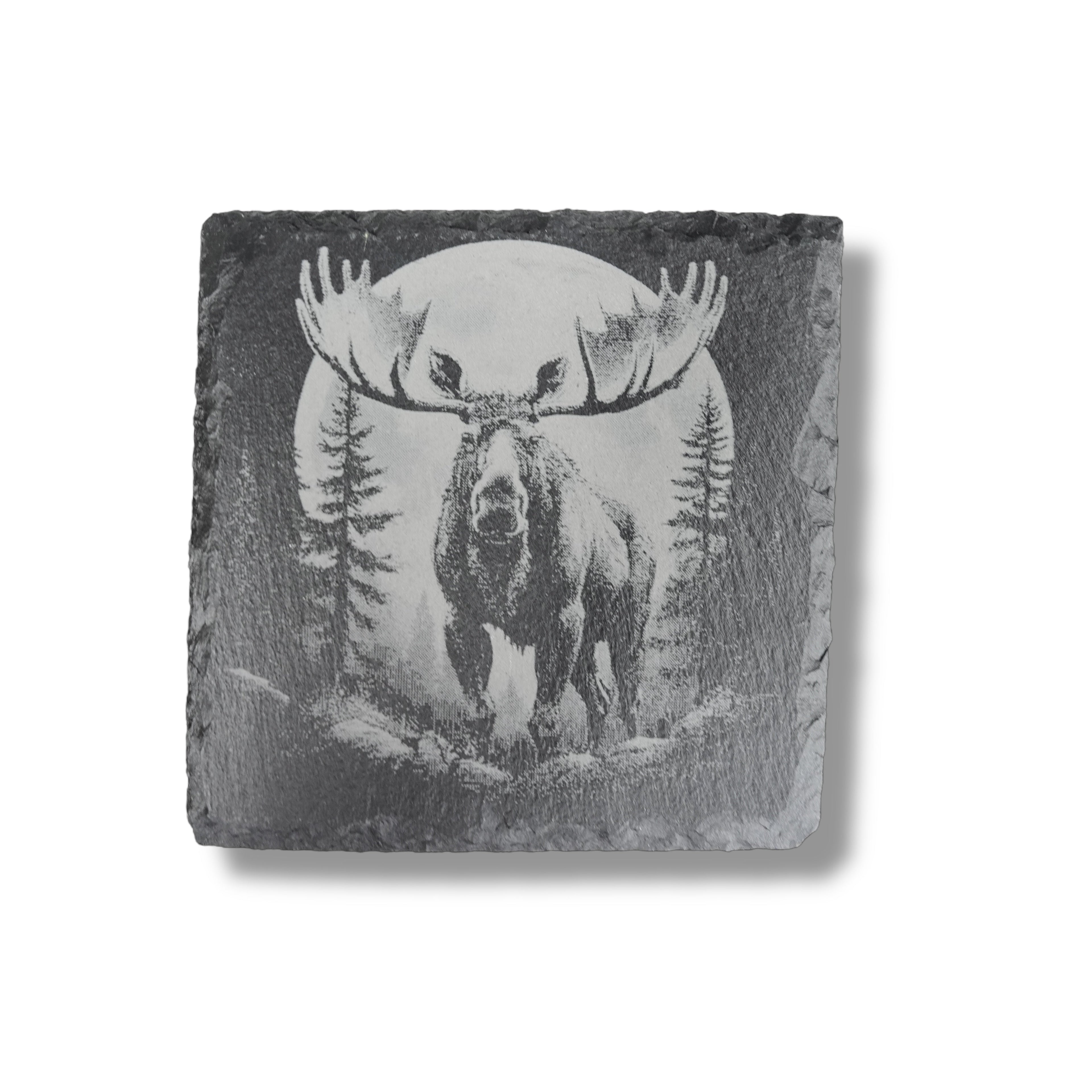 Coaster - Slate - Woods at Night - SET of 4
