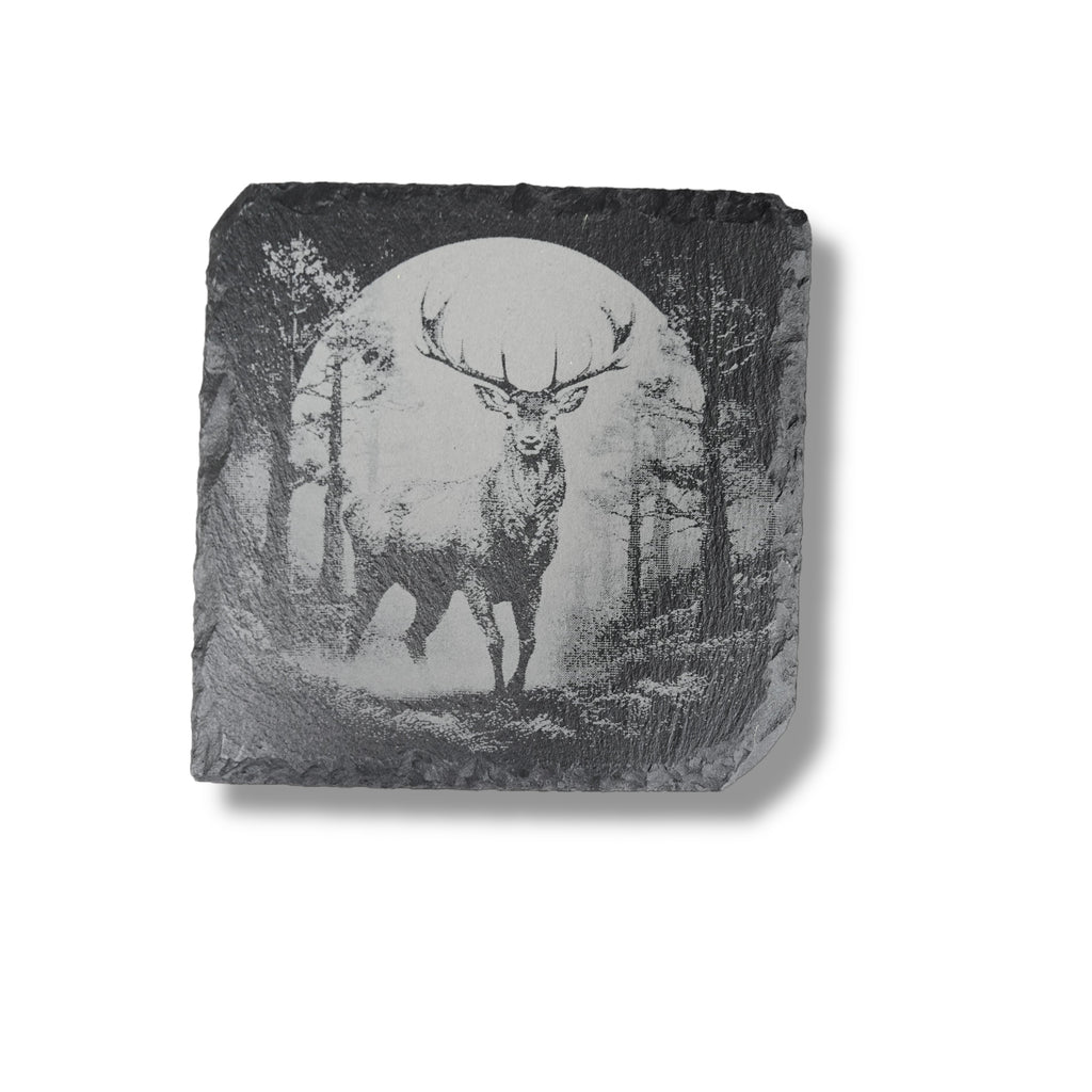 Coaster - Slate - Woods at Night - SET of 4