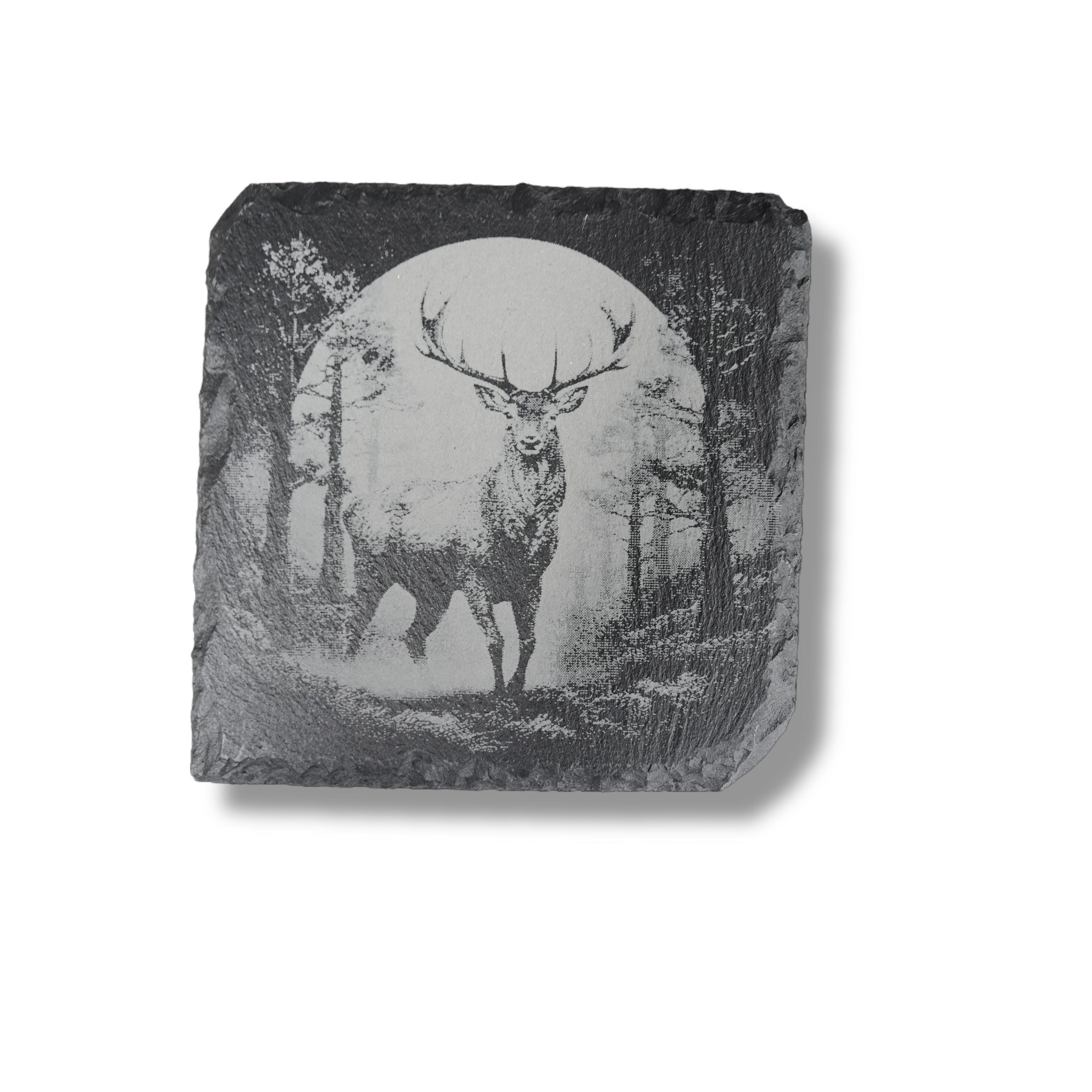 Coaster - Slate - Woods at Night - SET of 4