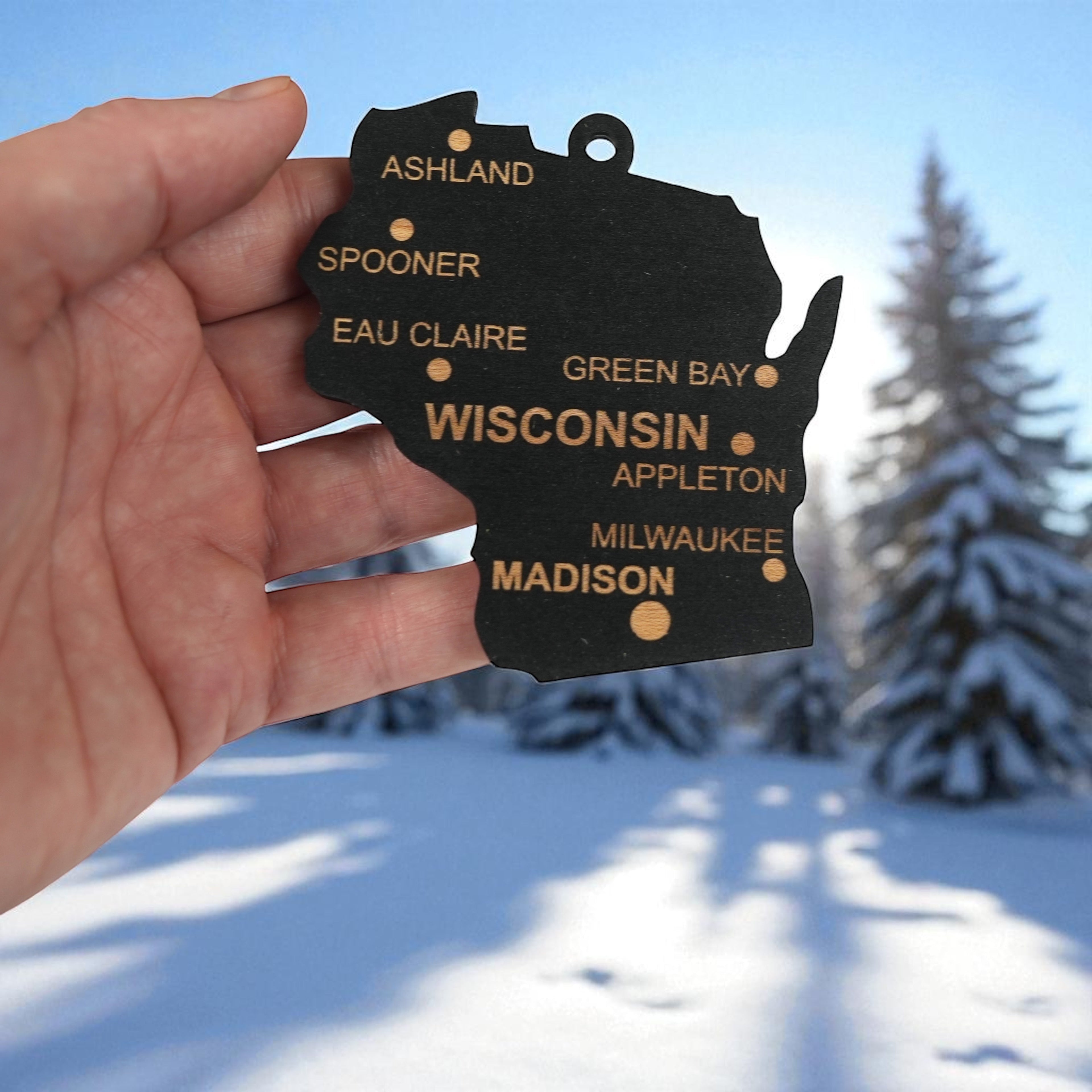 Ornament - CUSTOM - Wisconsin State with Cities