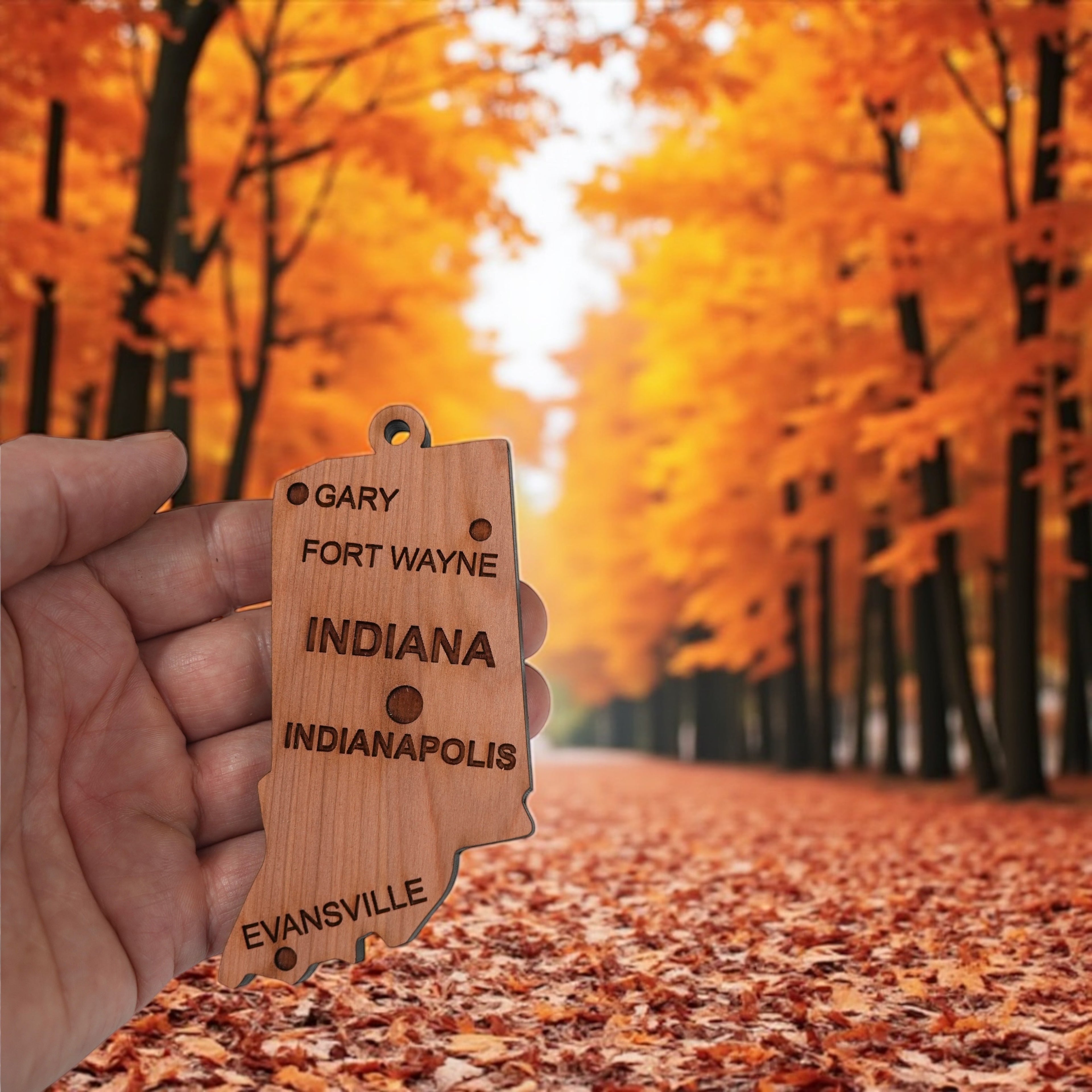 Ornament - CUSTOM - Indiana State with Cities