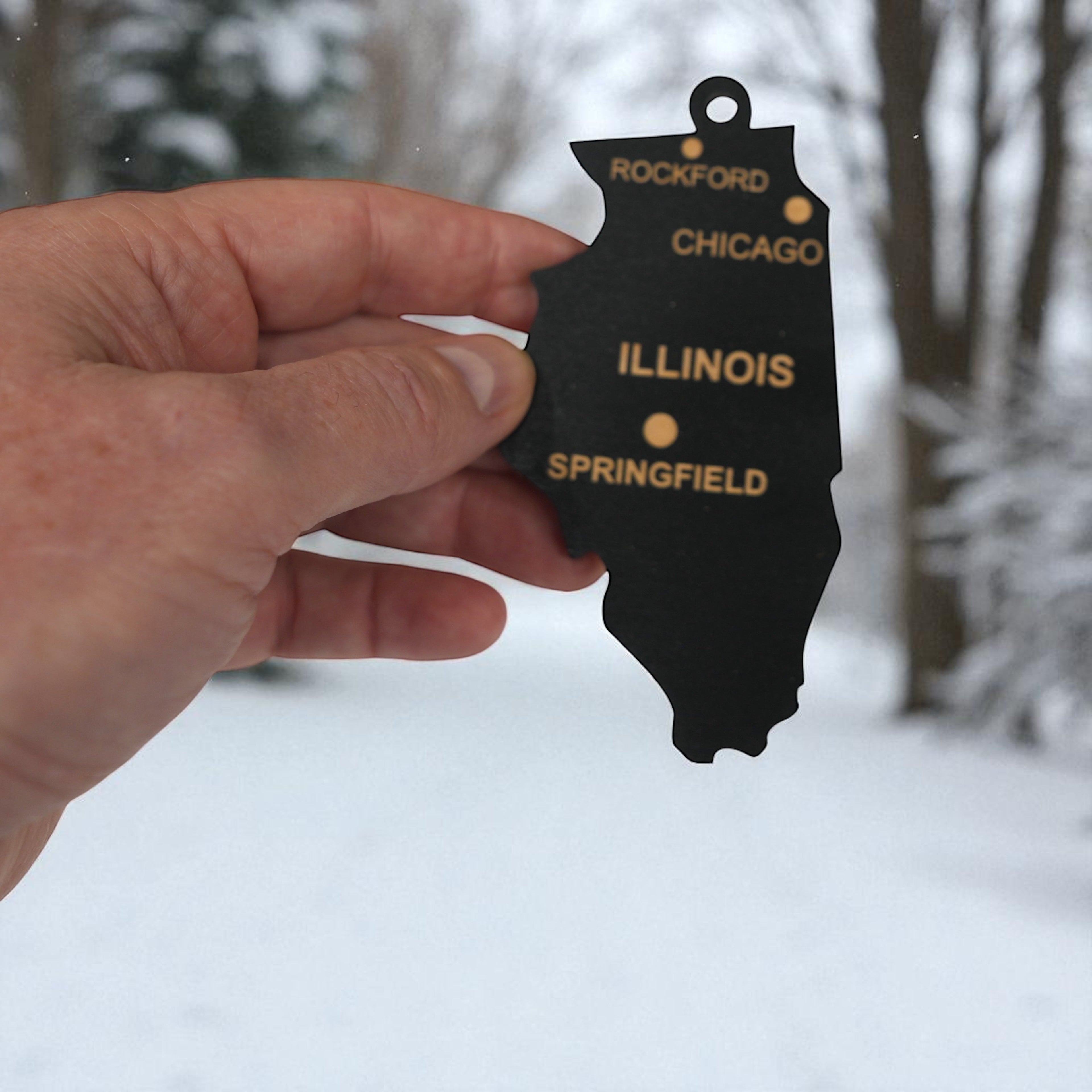 Ornament - CUSTOM - Illinois State with Cities