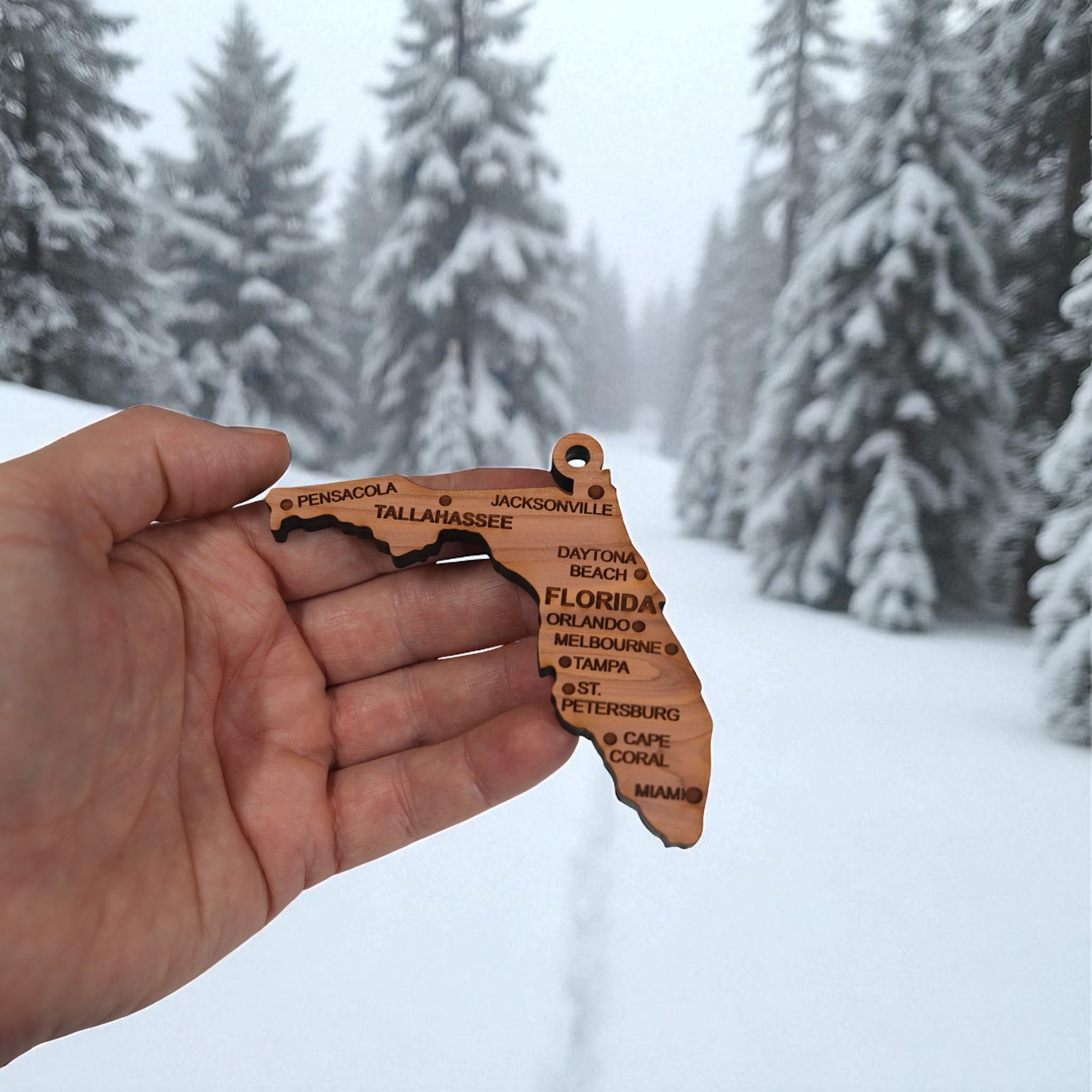 Ornament - CUSTOM - Florida State with Cities