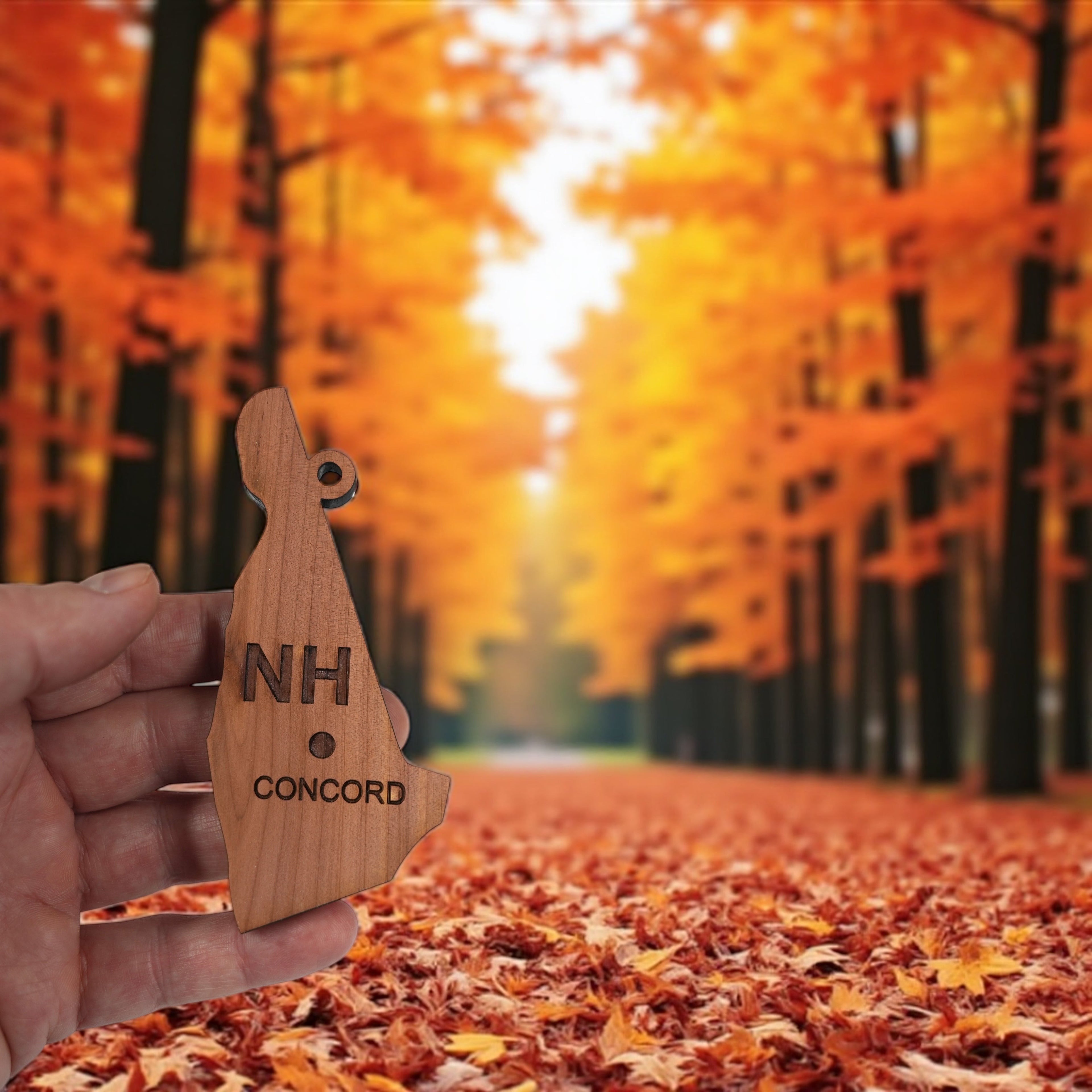 Ornament - CUSTOM - New Hampshire State with Cities