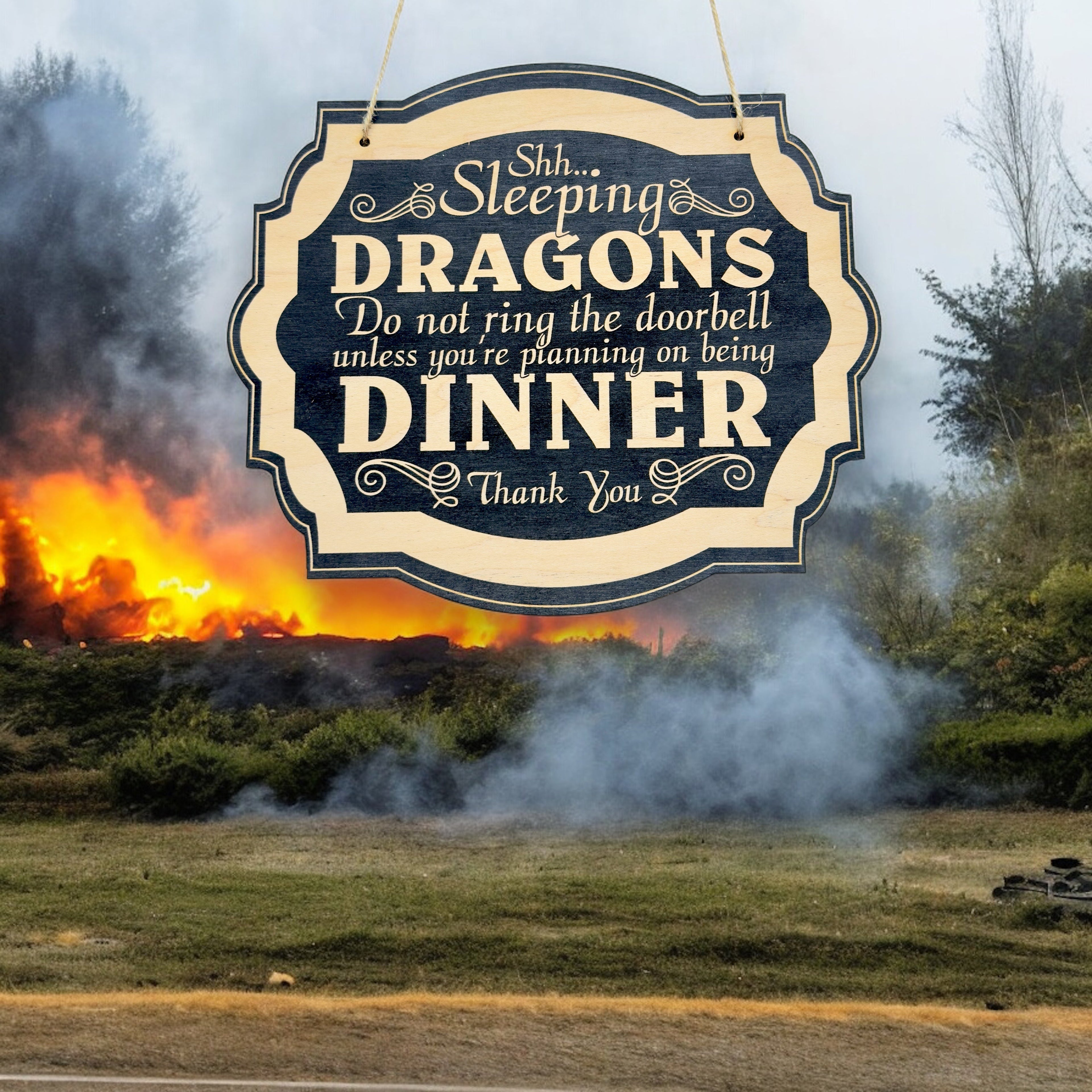 Shhh Sleeping Dragons - Black Door Sign
