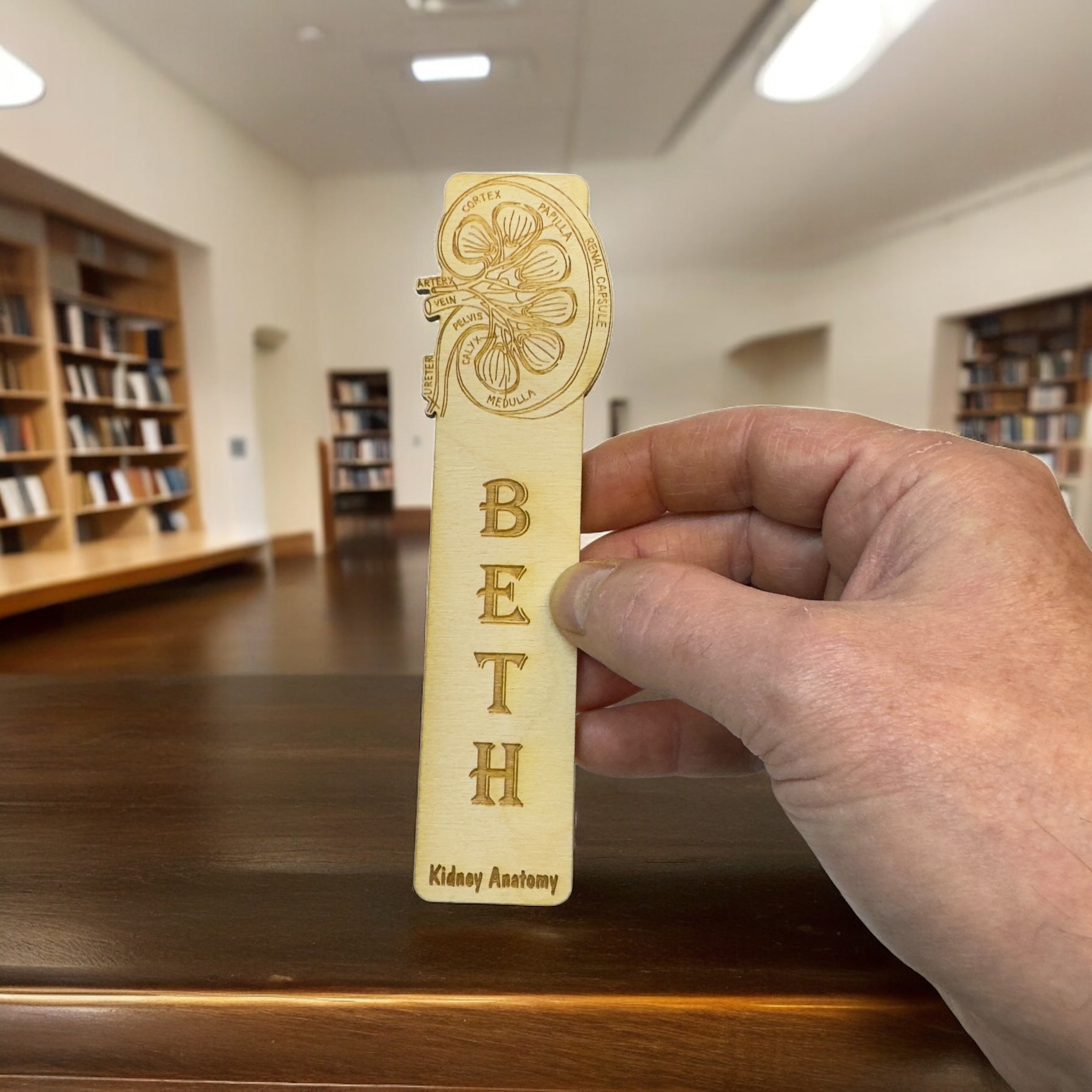 Bookmark - PERSONALIZED Kidney Anatomy - Birch wood
