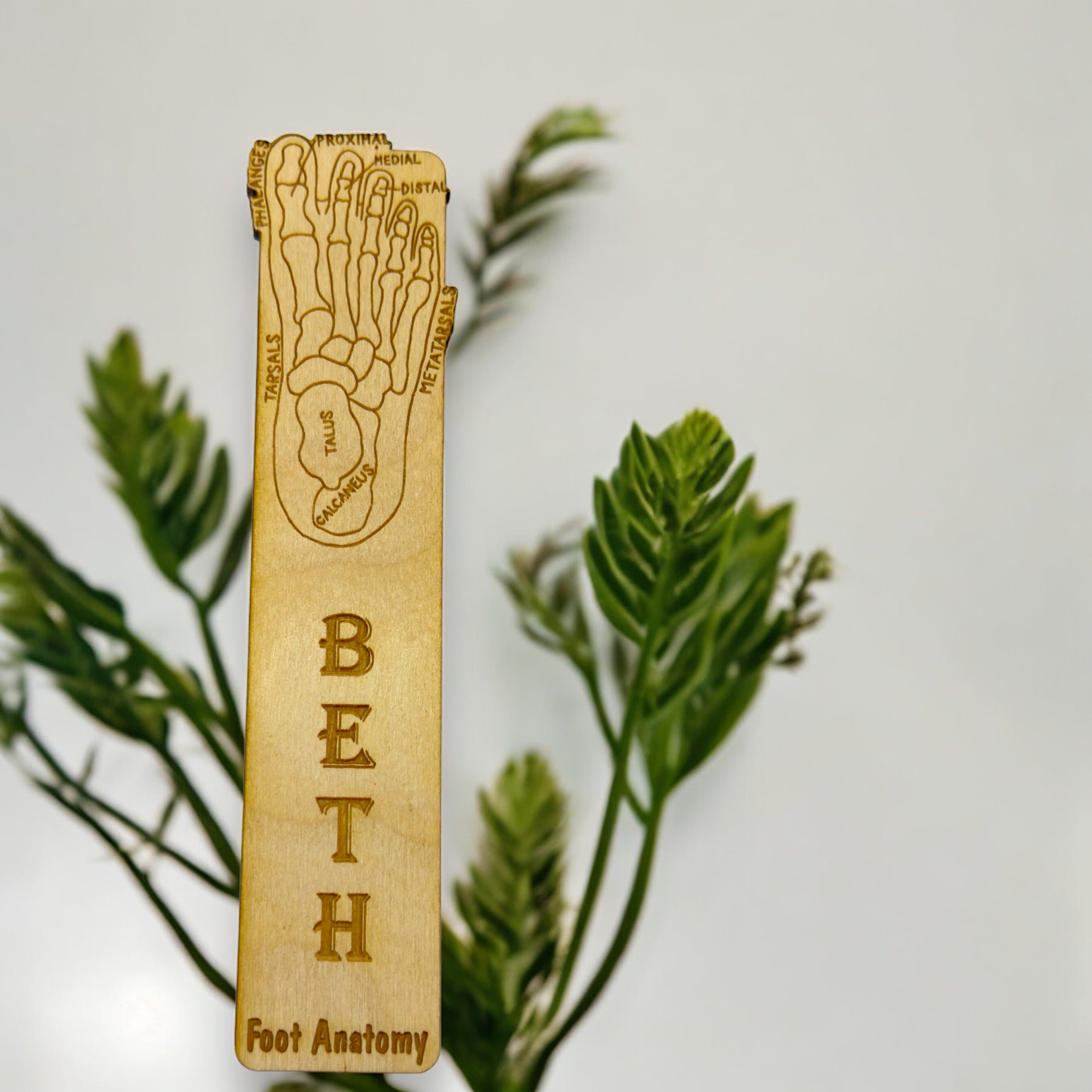Bookmark - PERSONALIZED Foot Anotomy - Birch wood