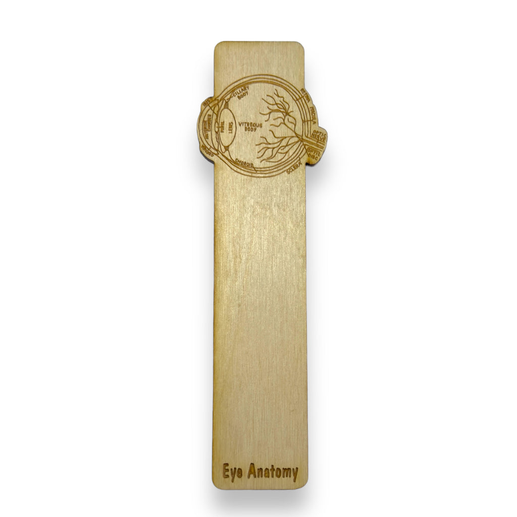 Bookmark - Eye Anatomy - Birch wood
