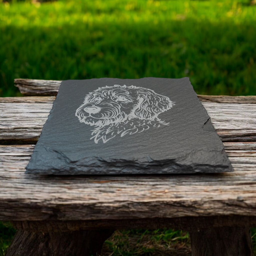 Coaster - Slate - Golden Doodle - SET OF 2