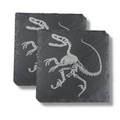 Coaster - Slate - Dinosaur Fossil - SET OF 2