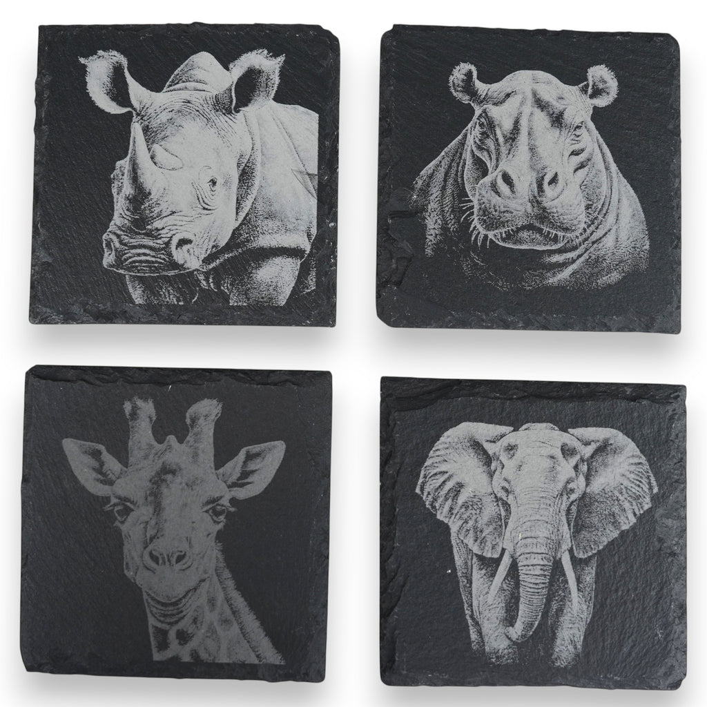 Coaster - Slate - Safari - SET of 4