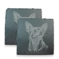Coaster - Slate - Chihuahua - SET OF 2 - Dog