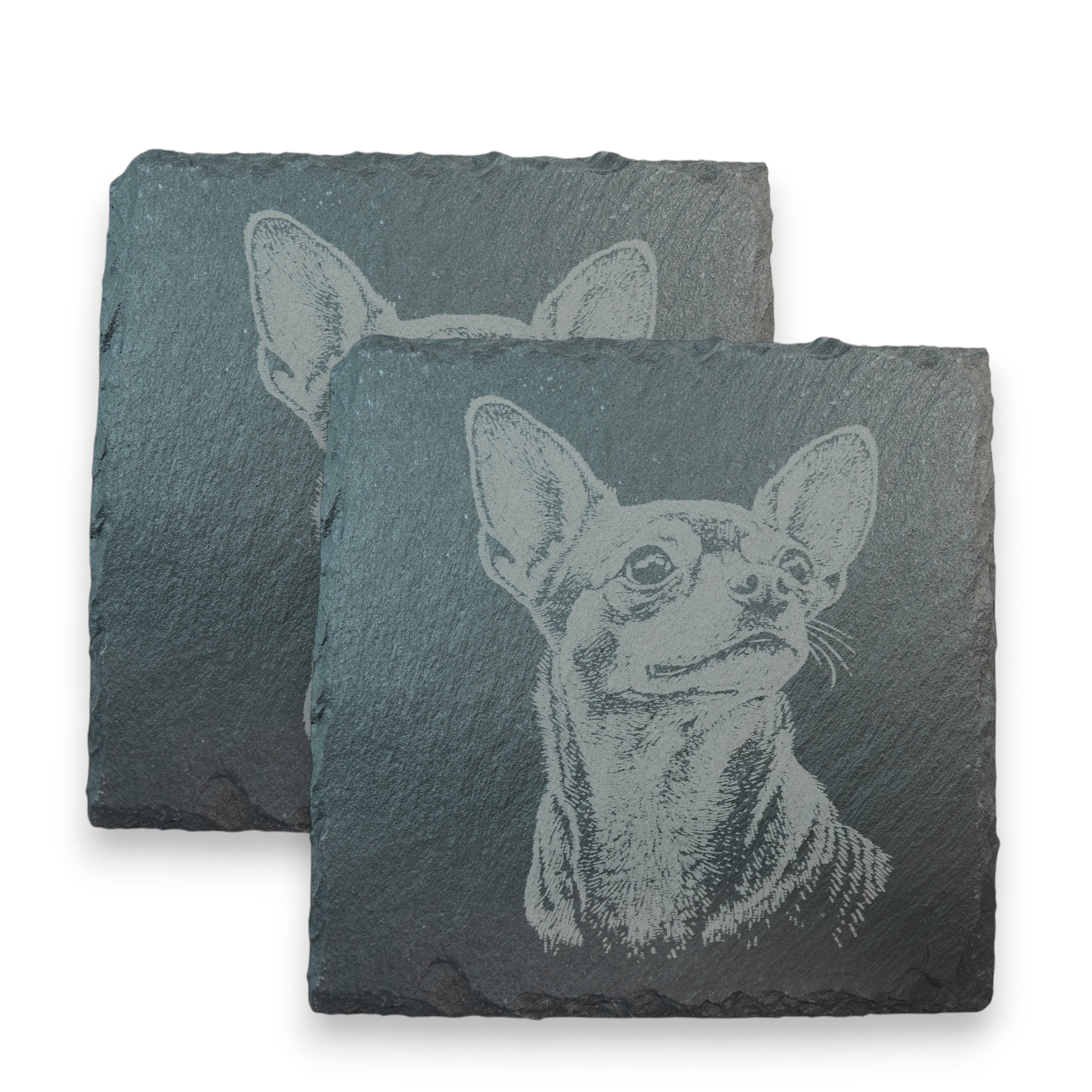 Coaster - Slate - Chihuahua - SET OF 2 - Dog
