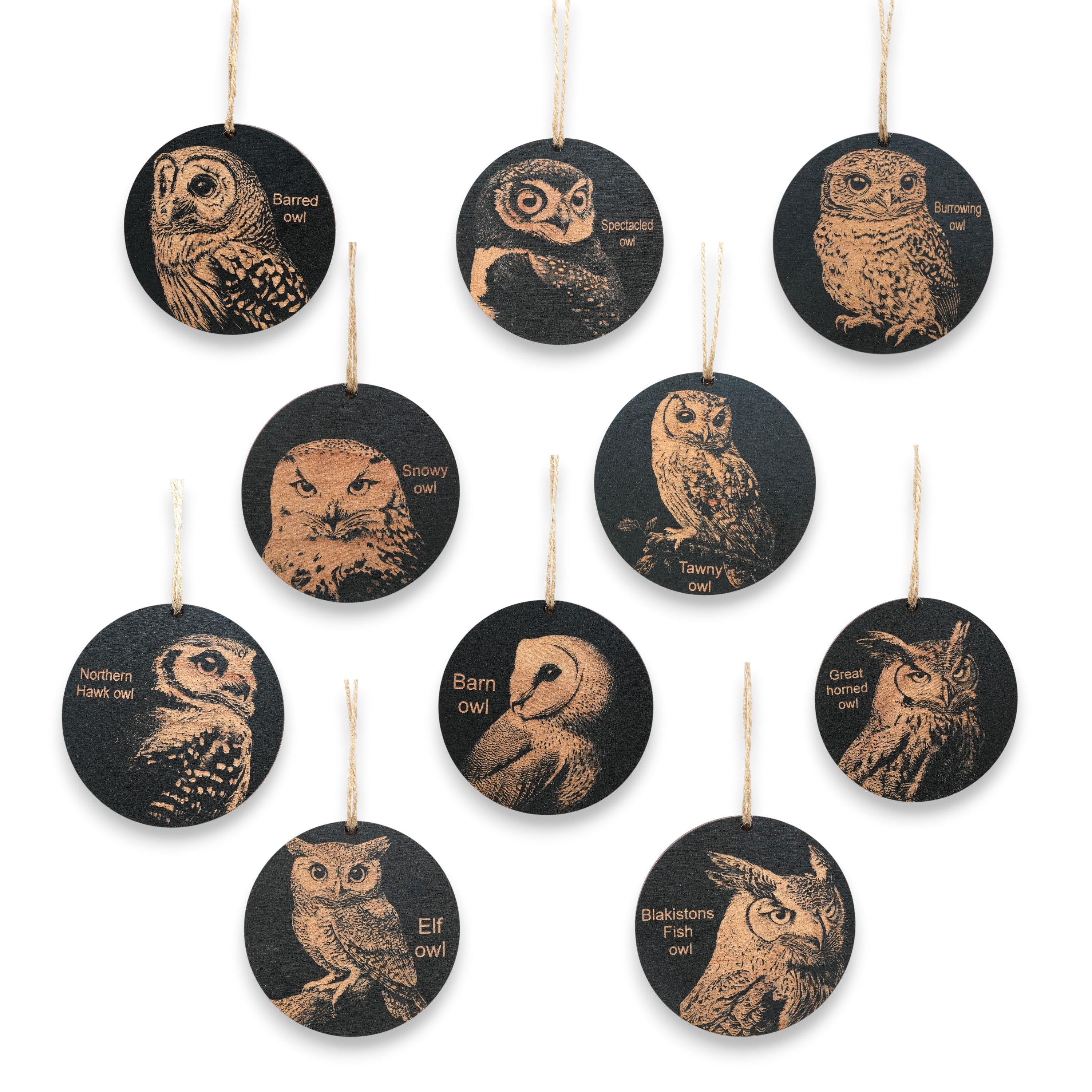 Ornament - Black - Owls - Set of 10