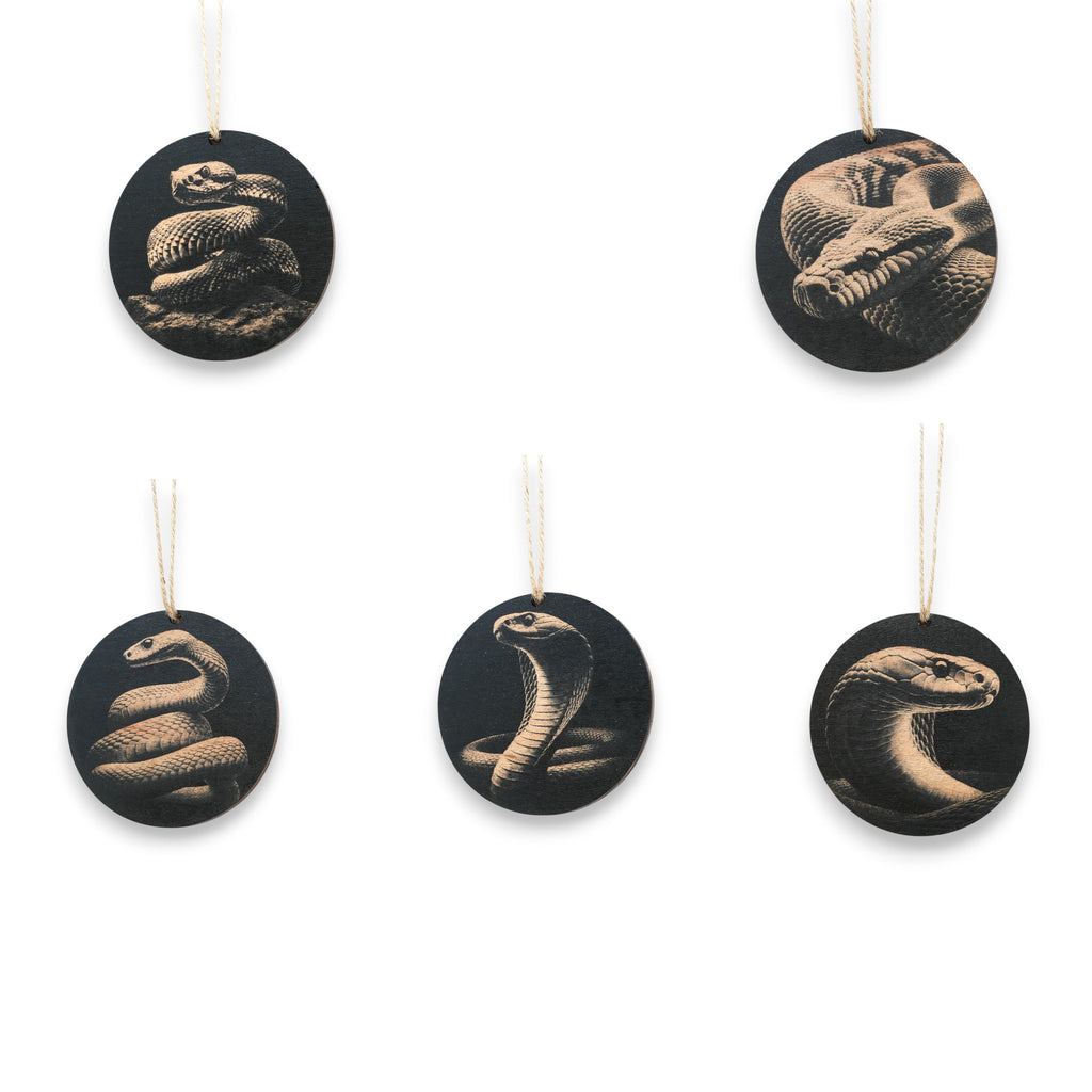 Ornament - Black - Snake herpetology - Set of 5