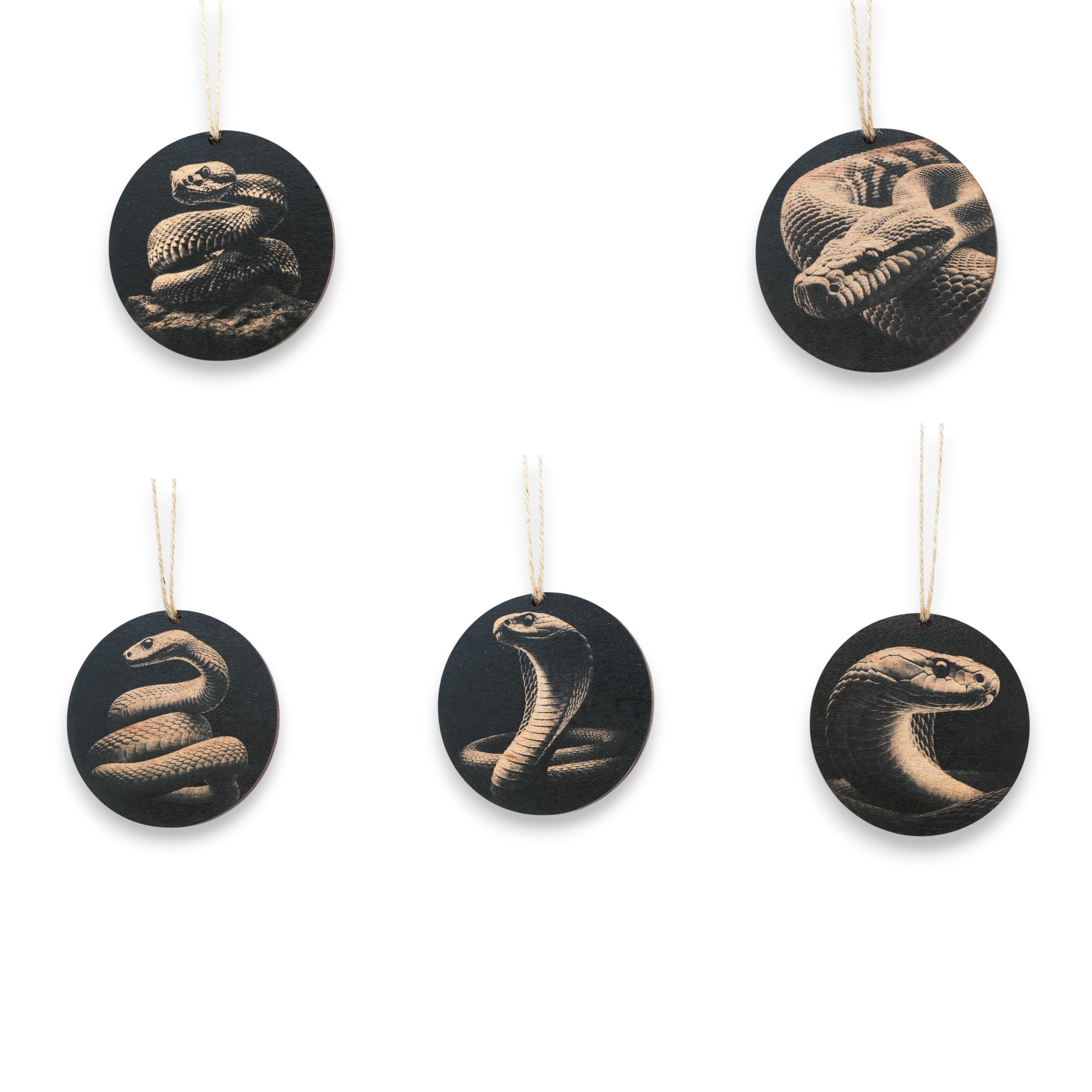 Ornament - Black - Snake herpetology - Set of 5
