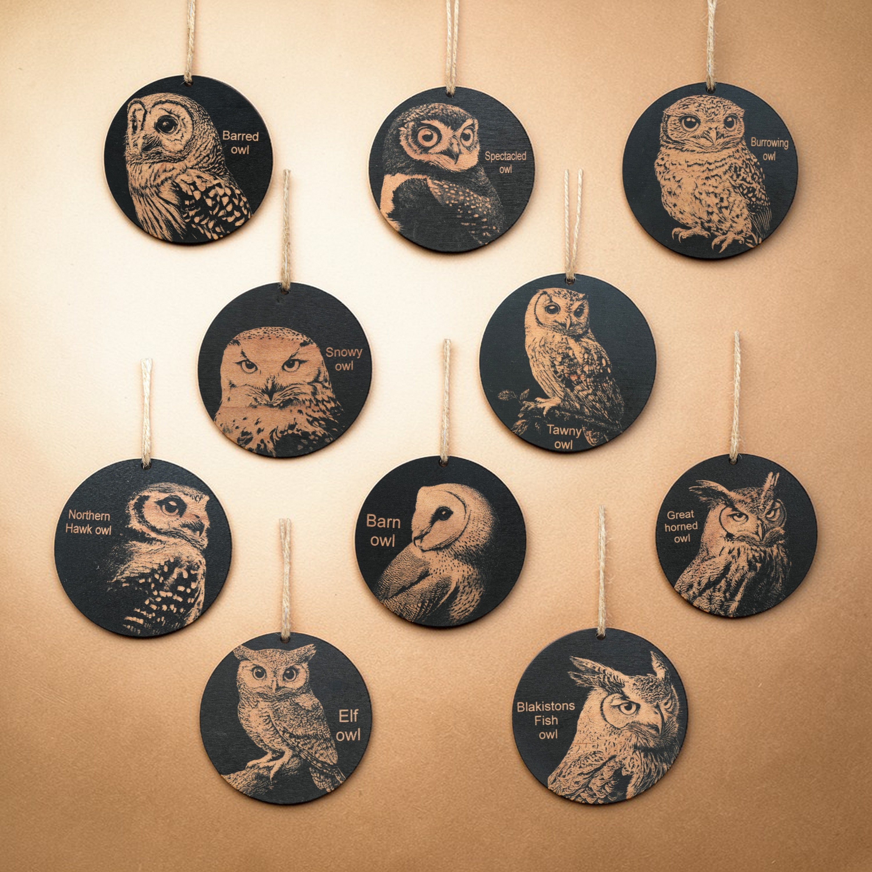 Ornament - Black - Owls - Set of 10