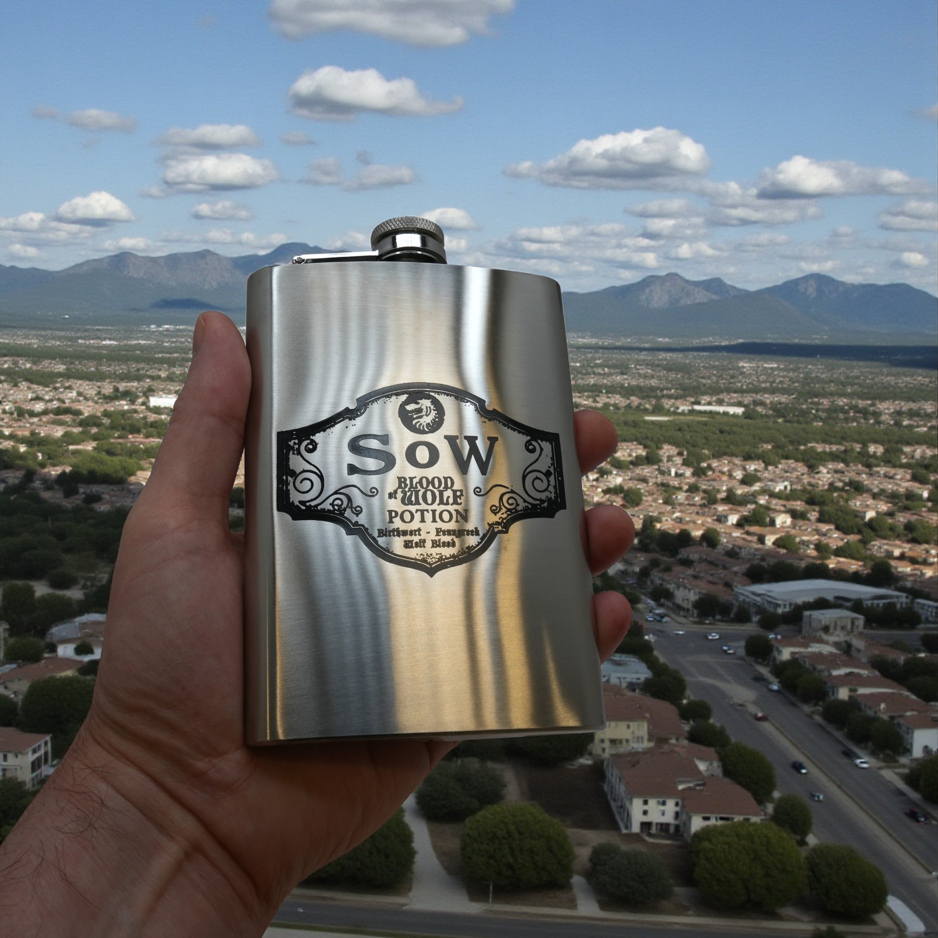 8oz SoW Potion Stainless Steel Flask