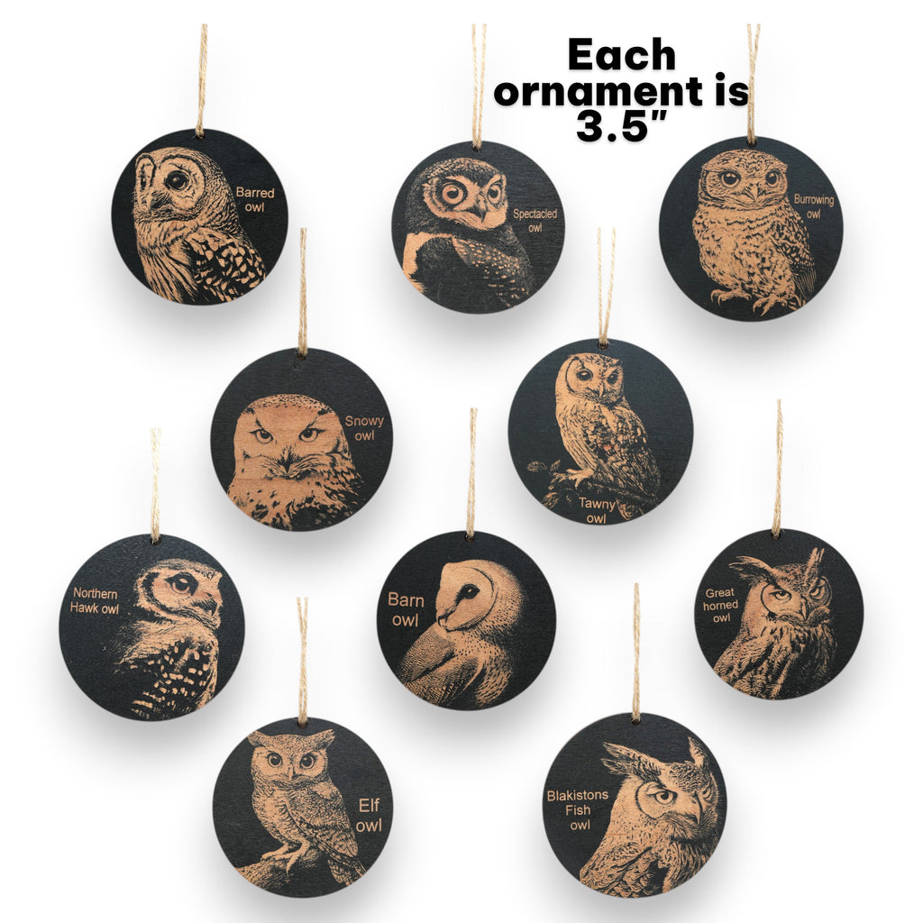 Ornament - Black - Owls - Set of 10