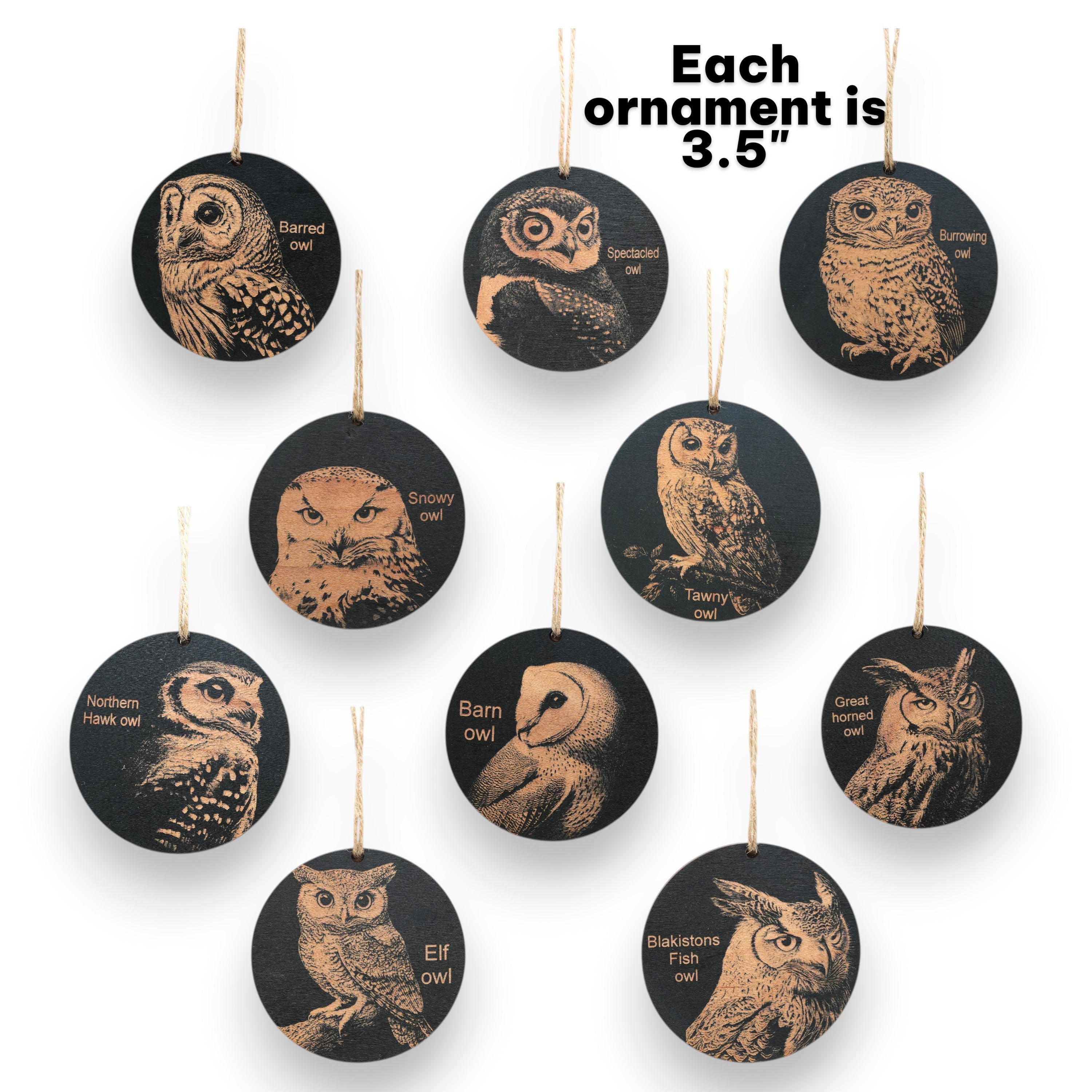Ornament - Black - Owls - Set of 10