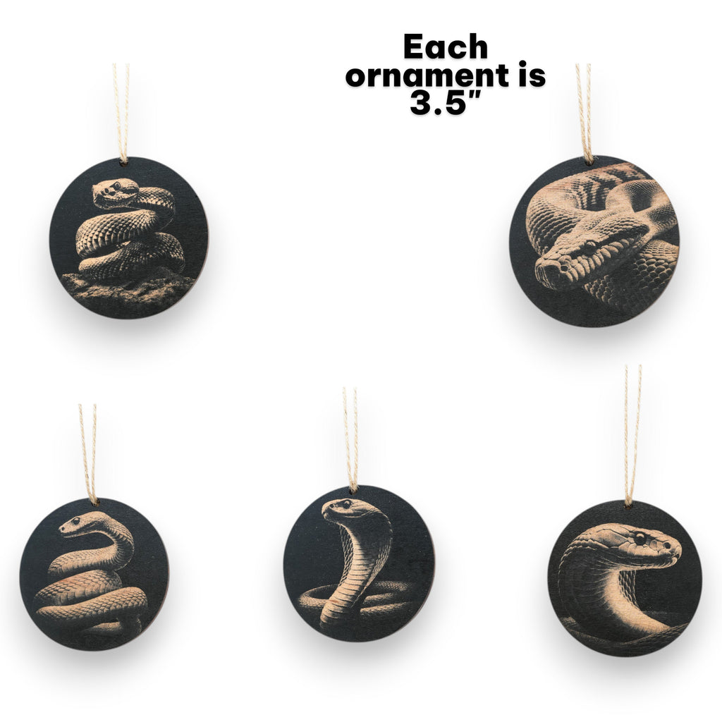 Ornament - Black - Snake herpetology - Set of 5
