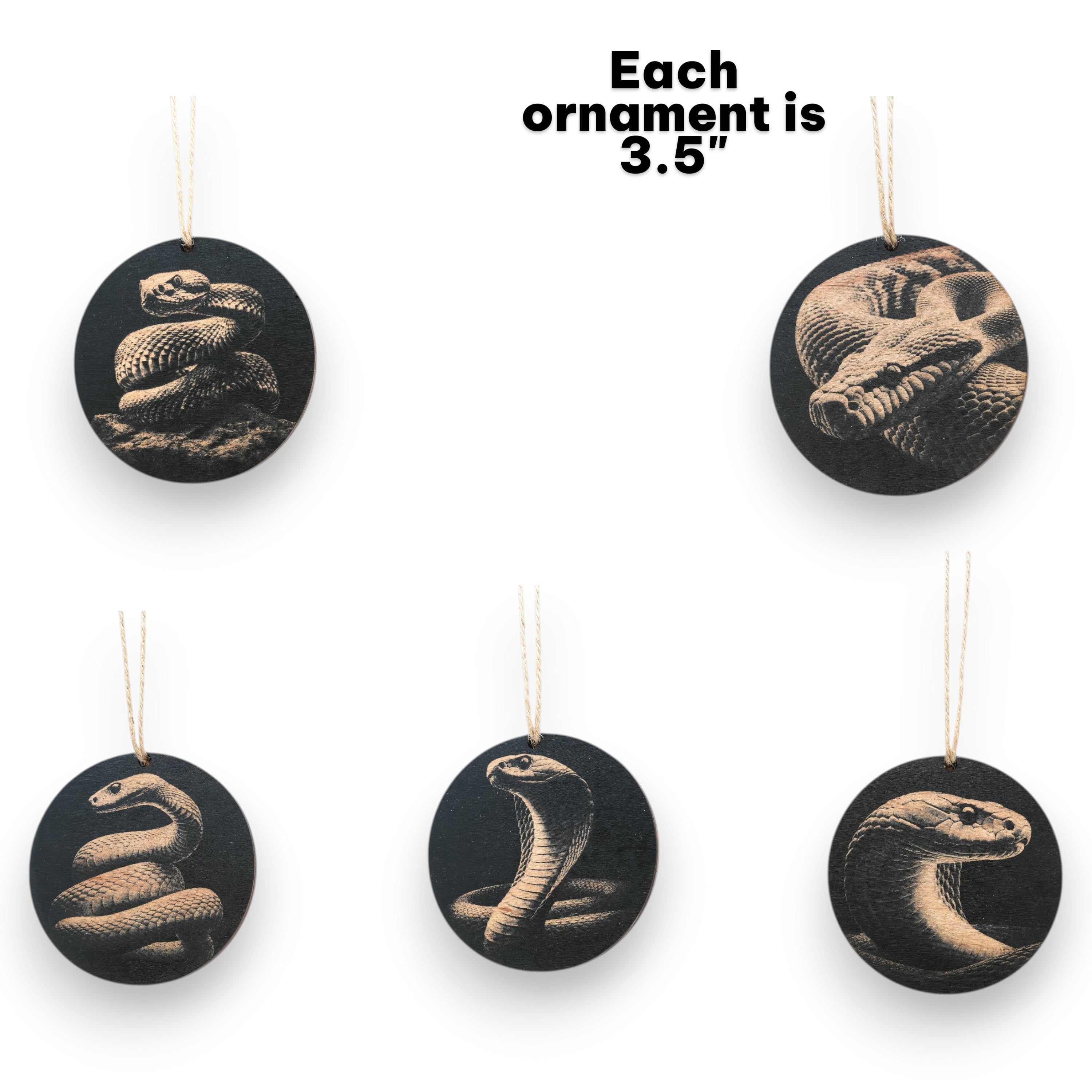 Ornament - Black - Snake herpetology - Set of 5