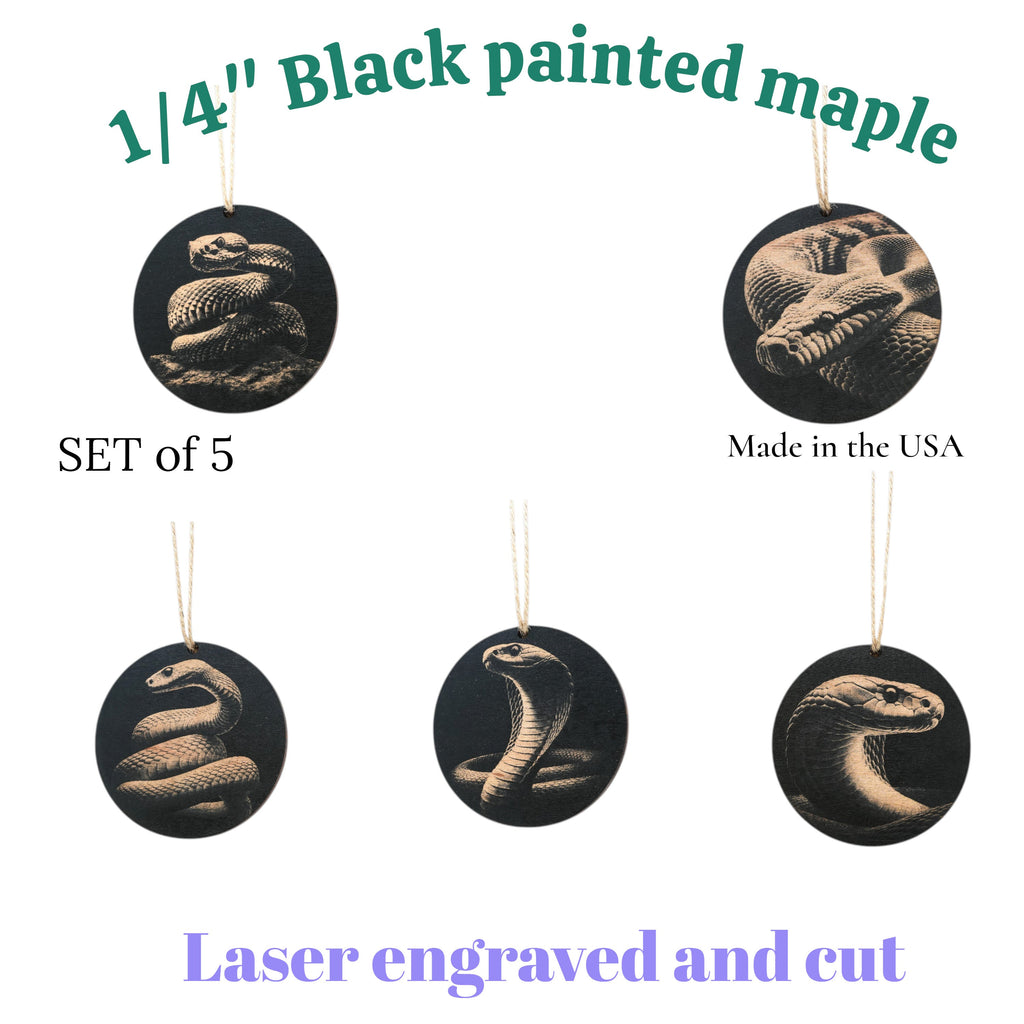 Ornament - Black - Snake herpetology - Set of 5