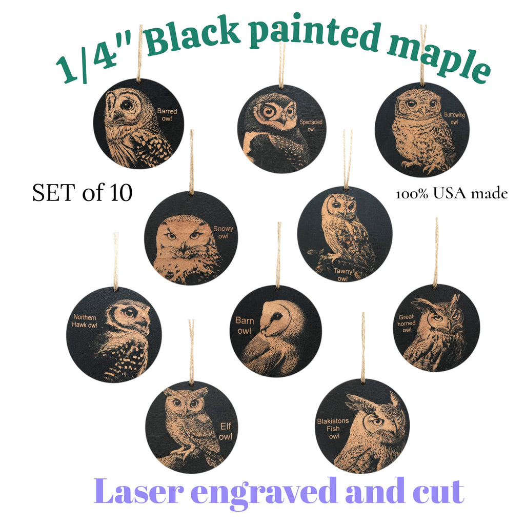 Ornament - Black - Owls - Set of 10
