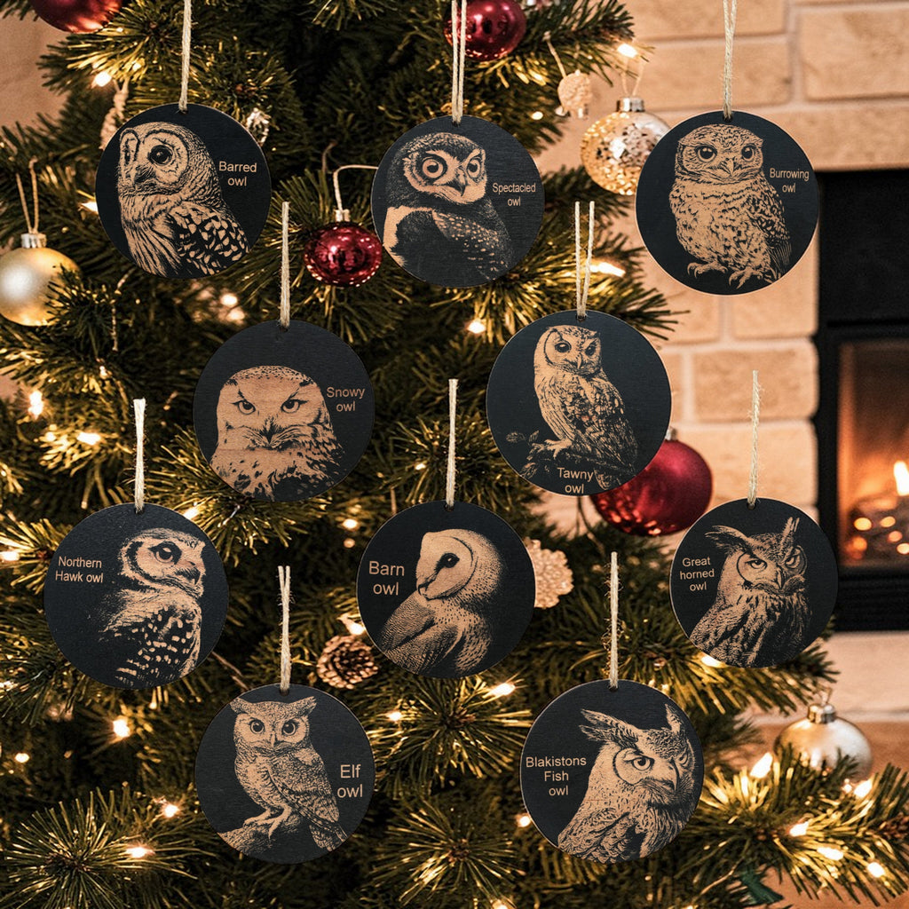 Ornament - Black - Owls - Set of 10